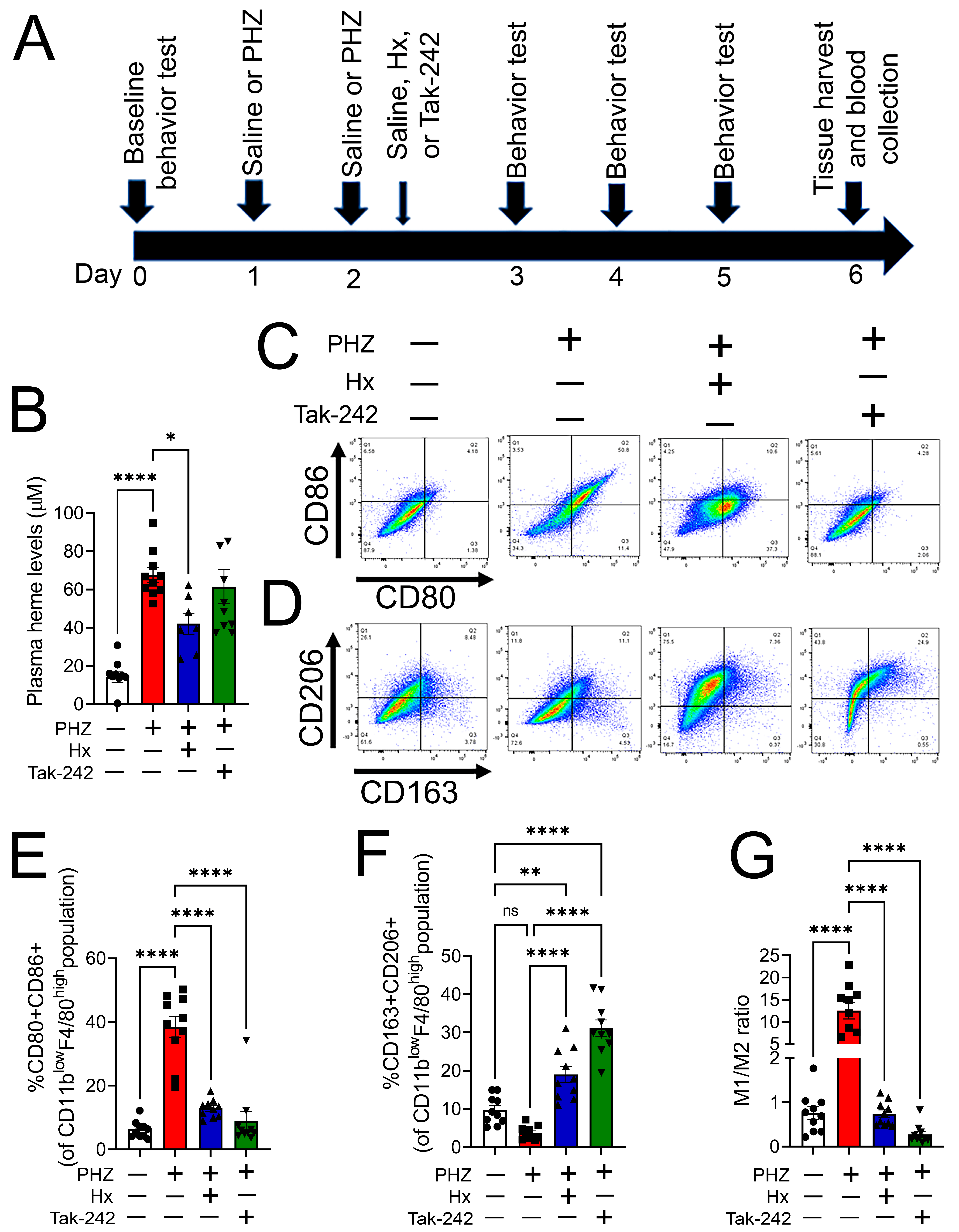 Cells 12 01565 g004 Cells 12 01565 g004