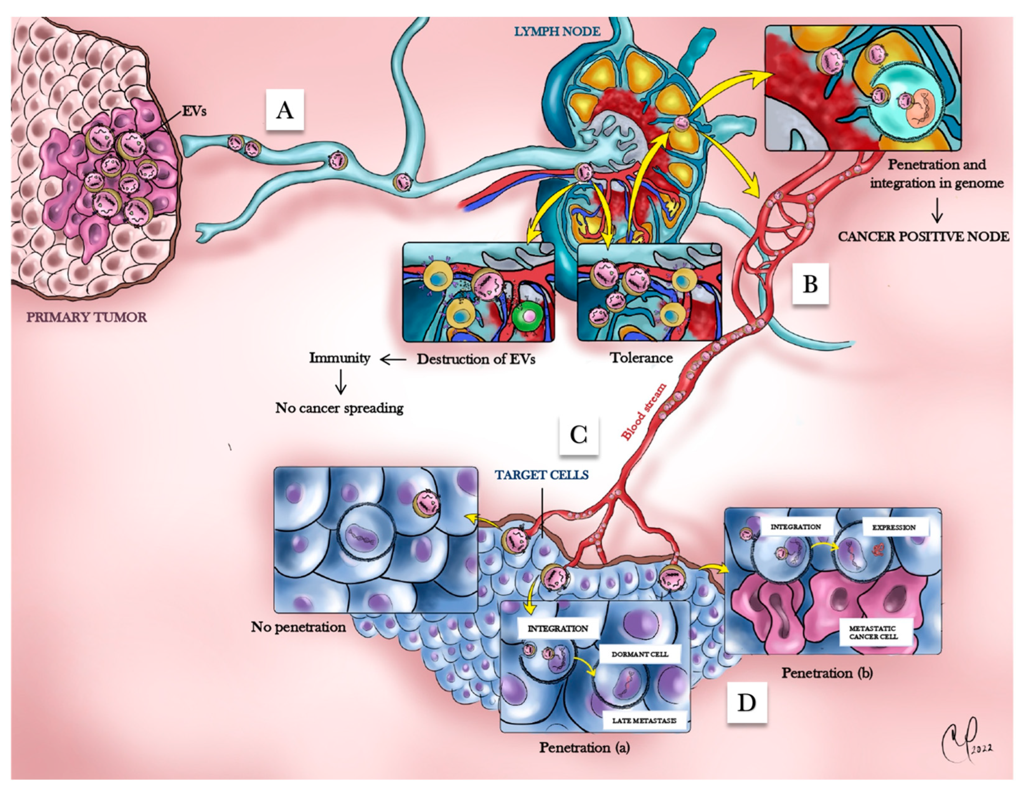 Cells 12 01566 g004 Cells 12 01566 g004