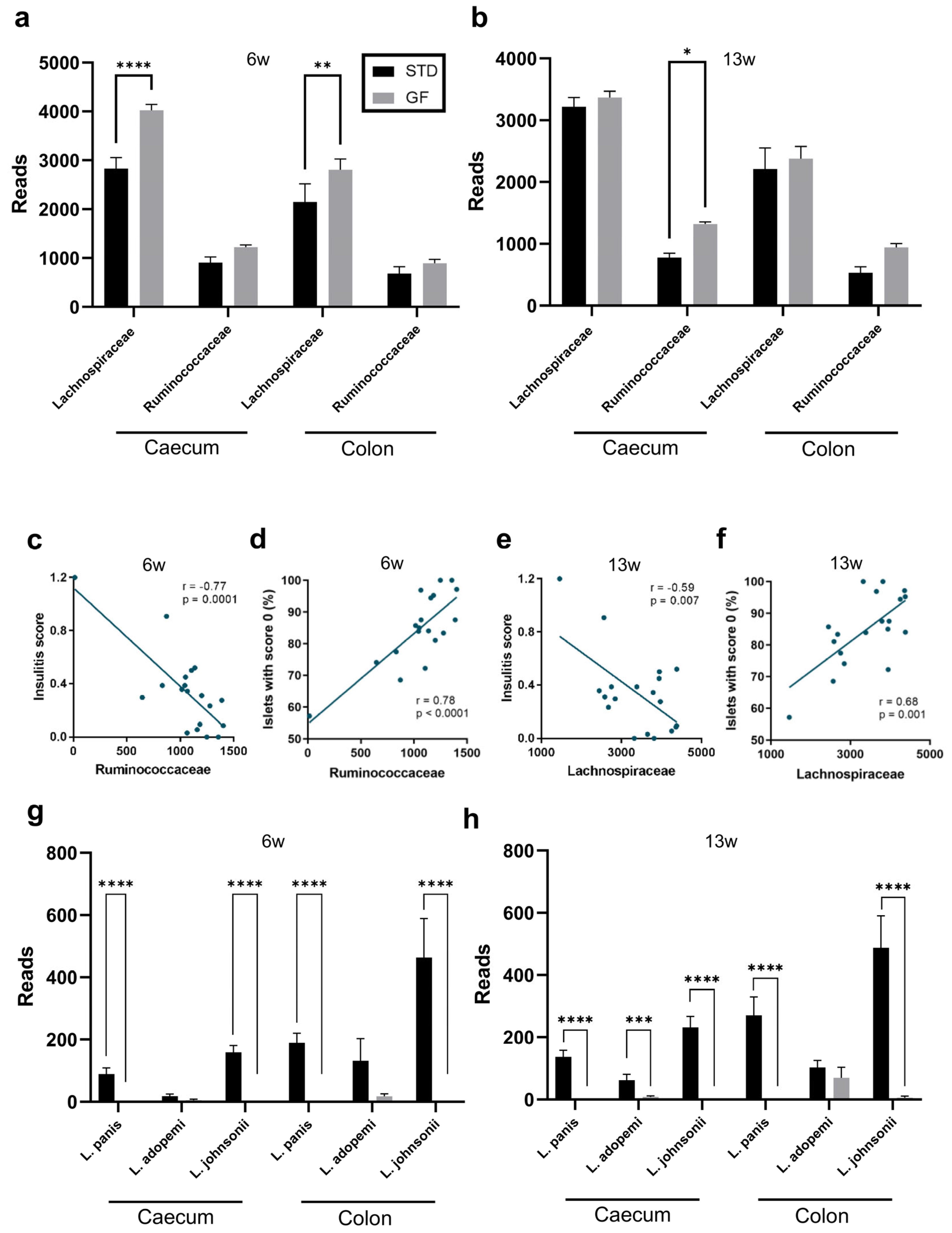 Cells Free FullText A GlutenFree Diet during Pregnancy and Early