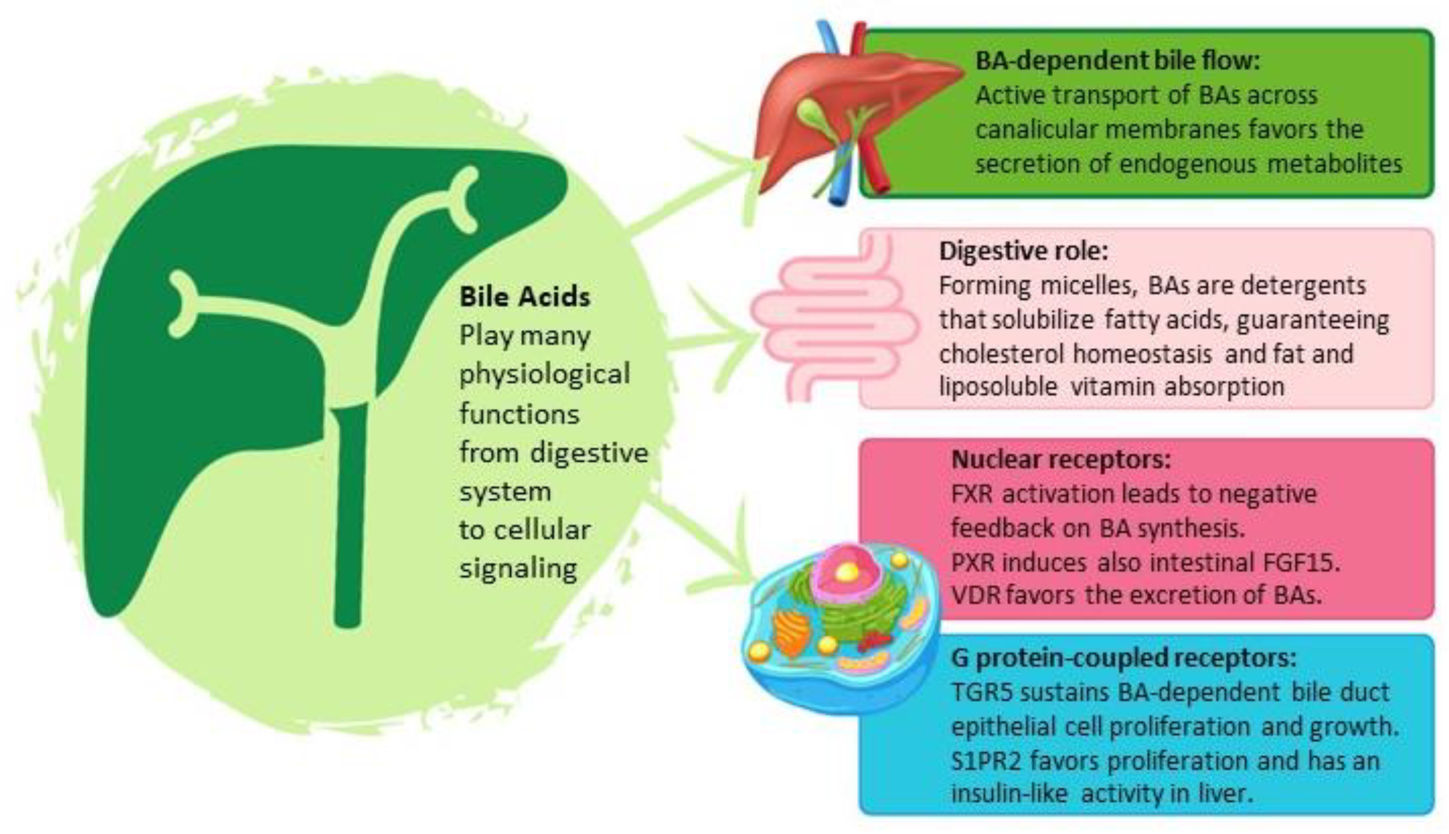 Cells 12 01576 g001 Cells 12 01576 g001