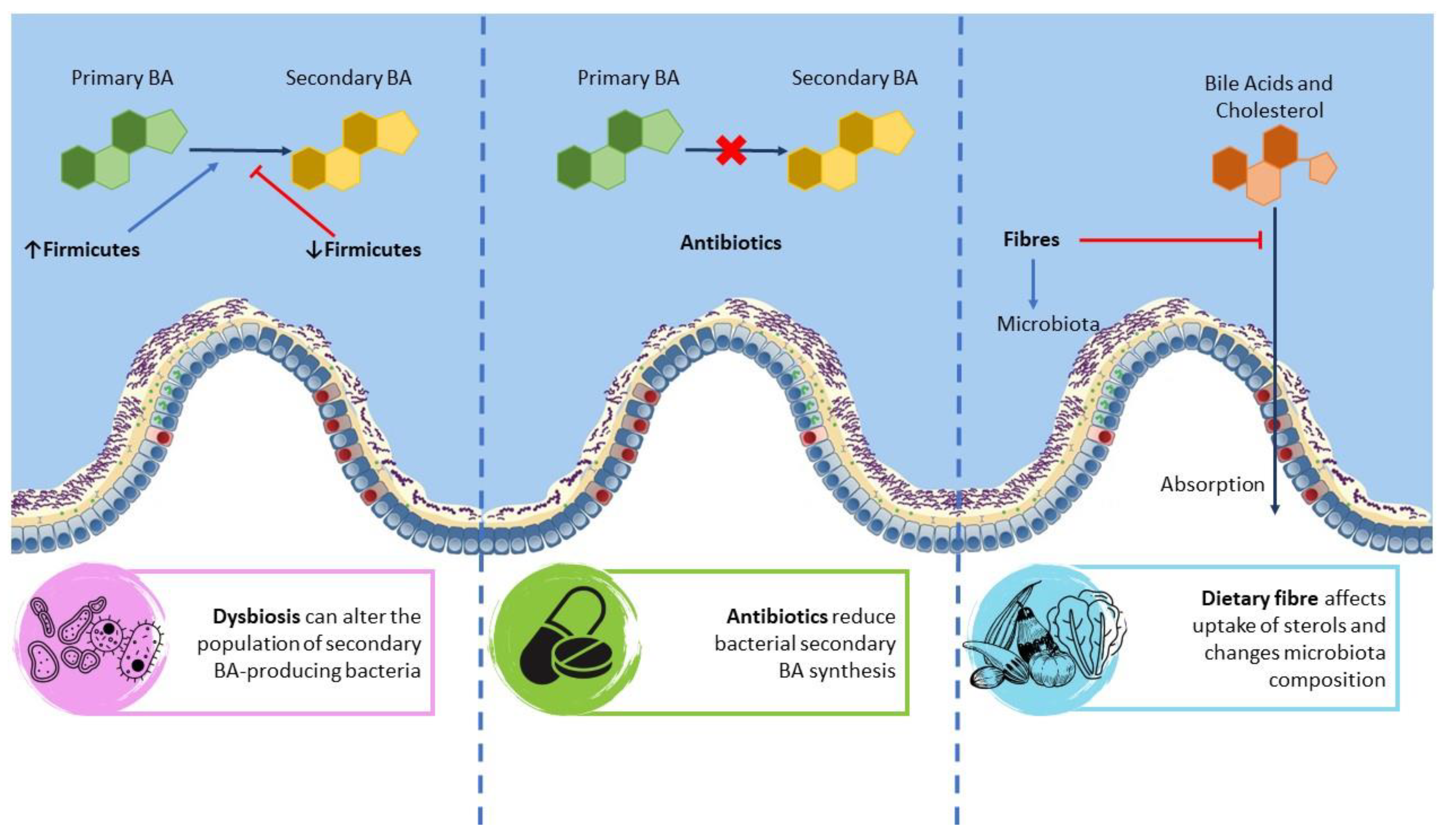Cells 12 01576 g003 Cells 12 01576 g003