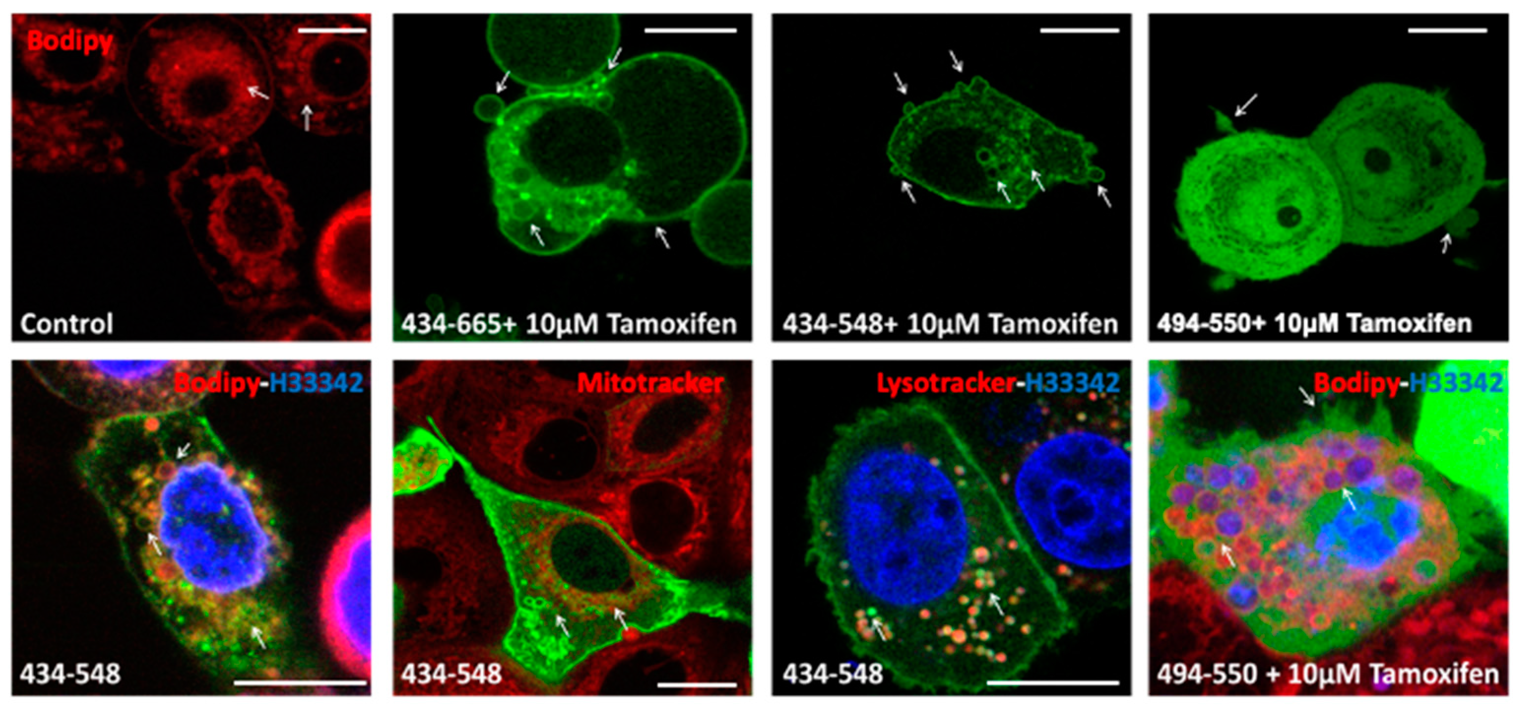 Cells 12 01580 g006 Cells 12 01580 g006