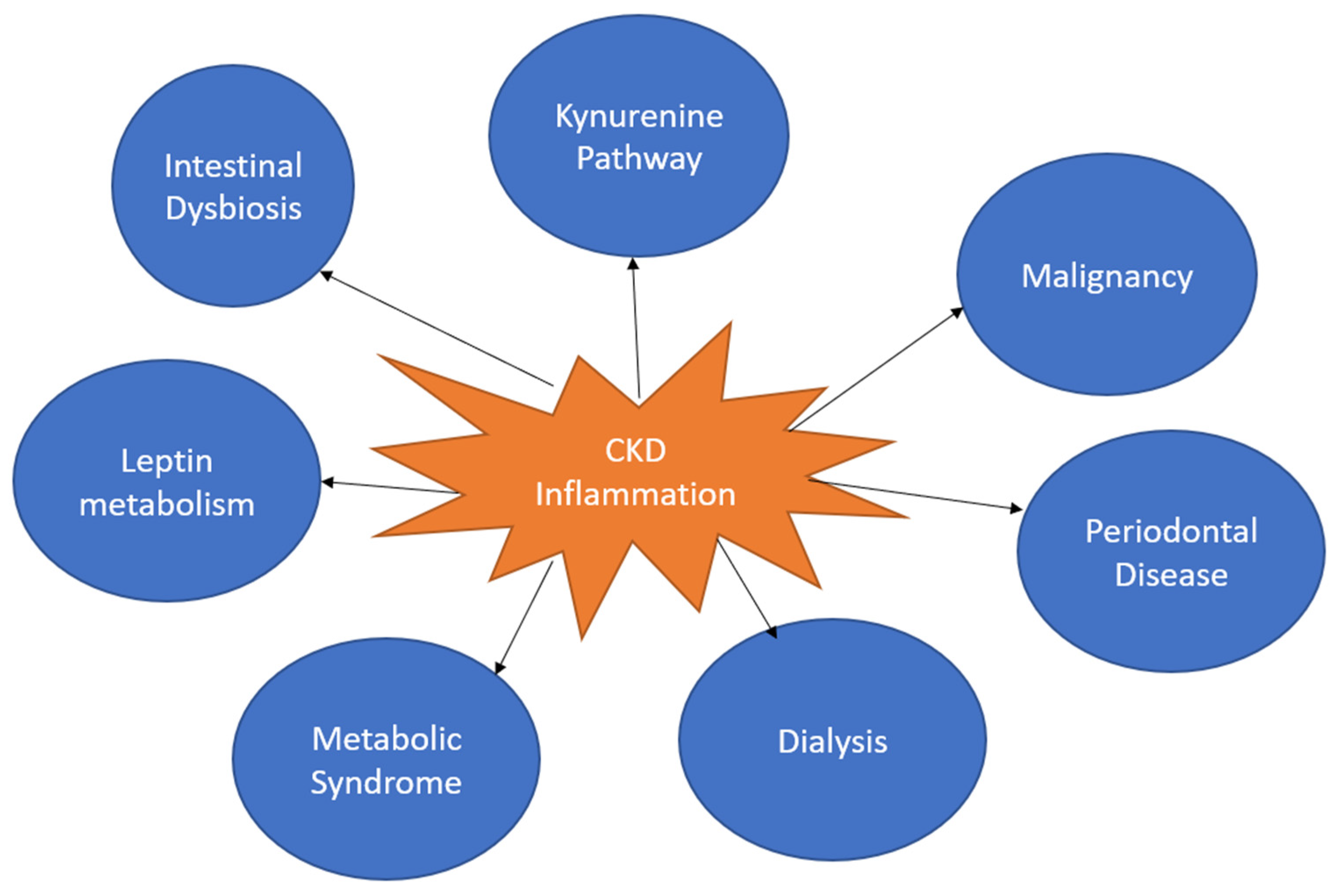 Cells 12 01581 g001 Cells 12 01581 g001