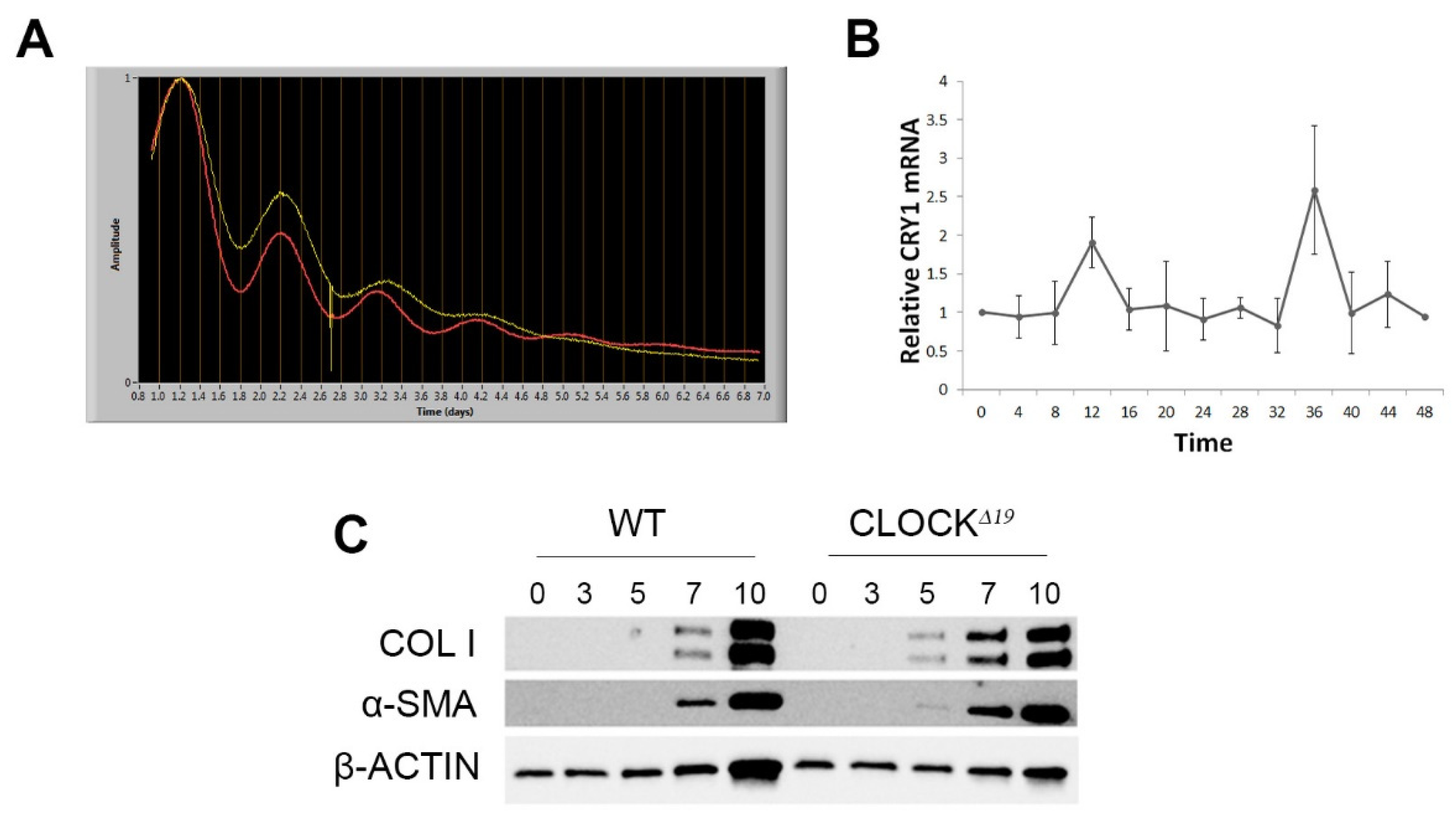 Cells 12 01582 g003 Cells 12 01582 g003
