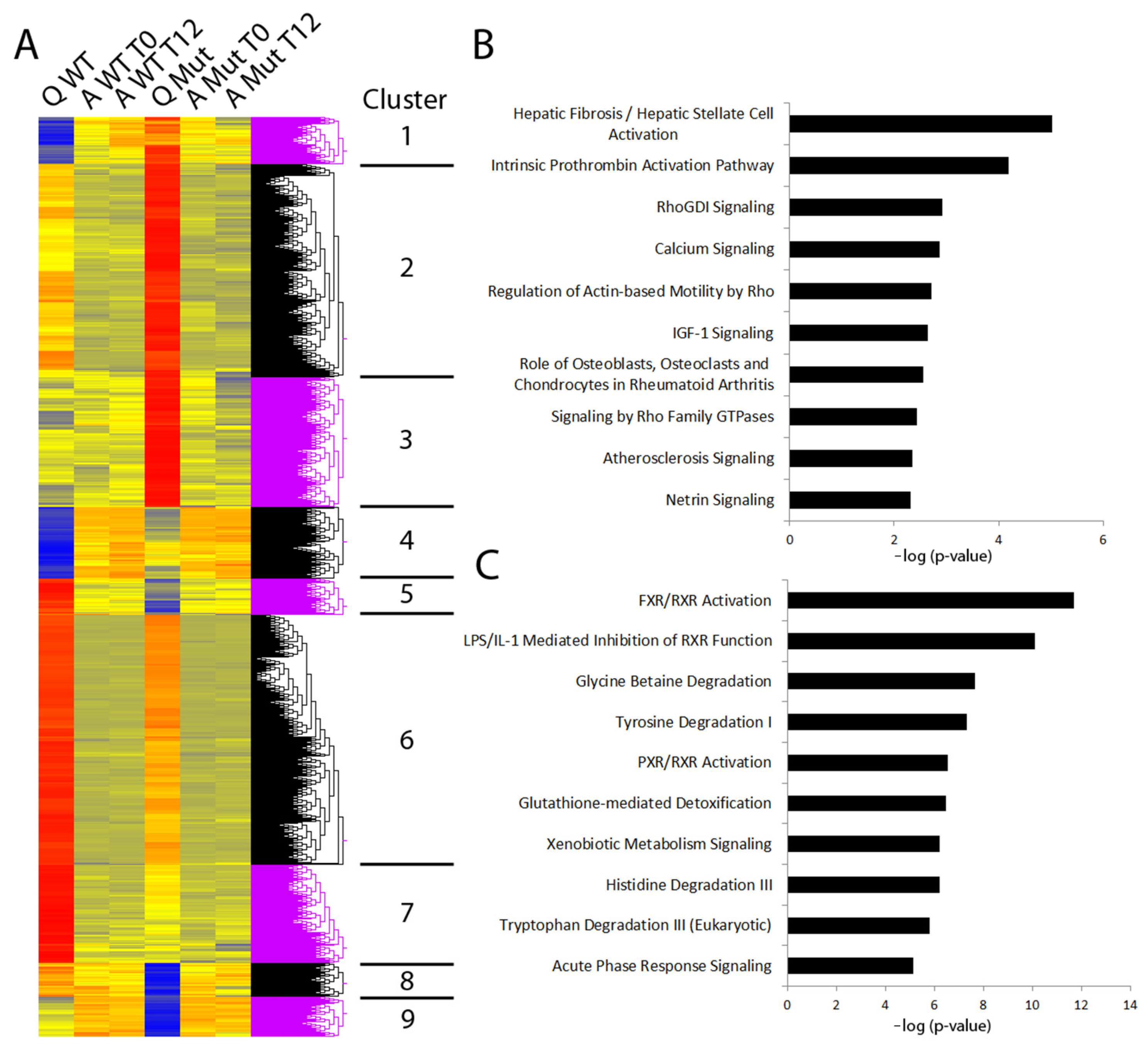 Cells 12 01582 g004 Cells 12 01582 g004