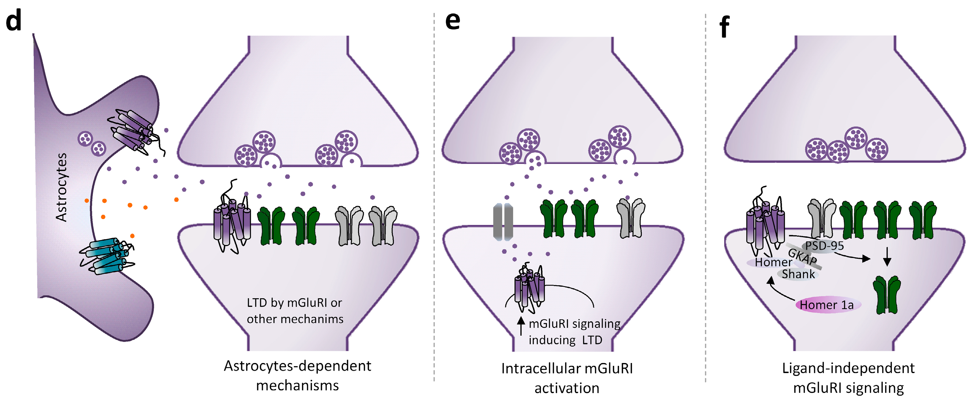 Cells 12 01588 g002b