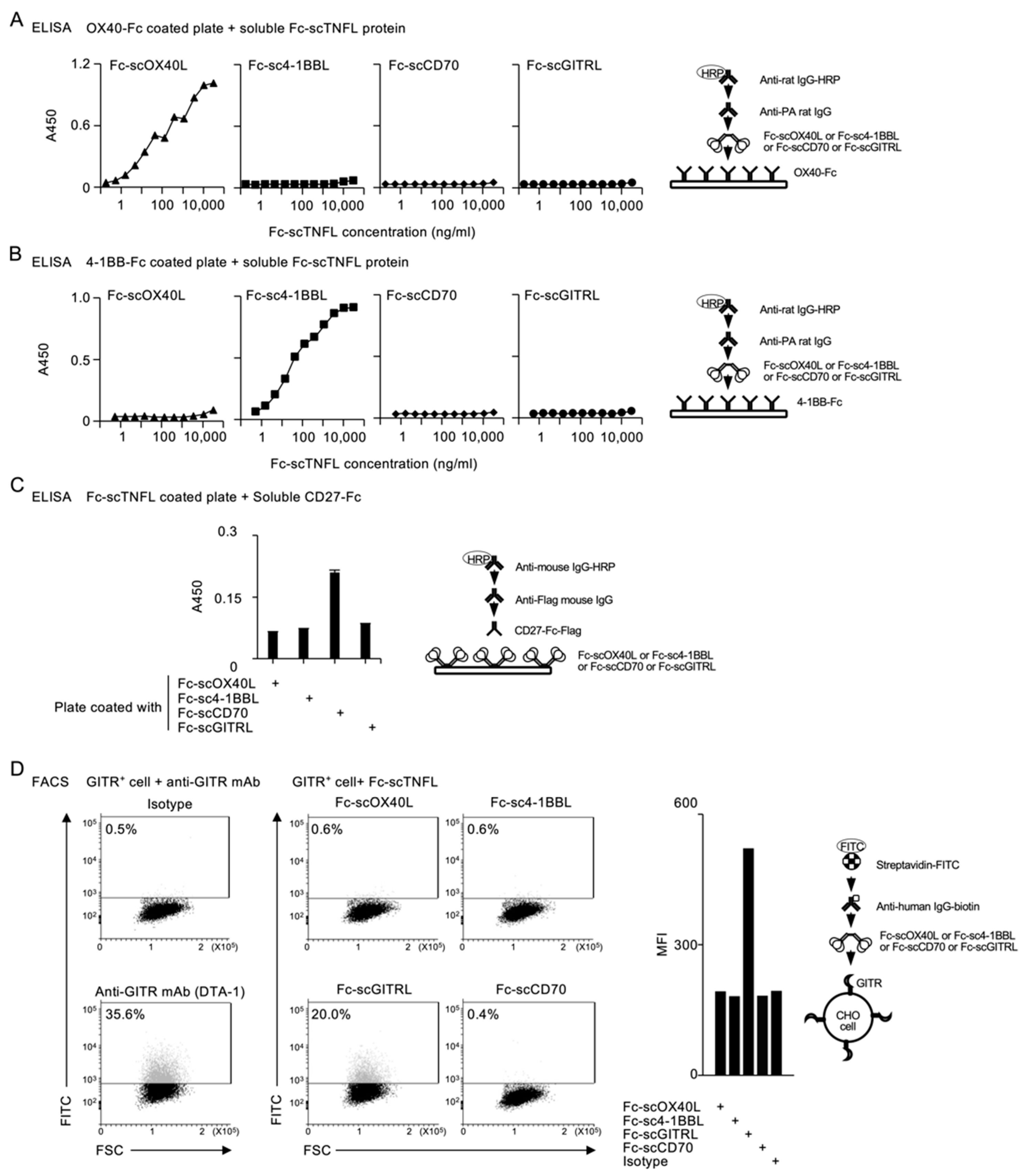 Cells 12 01596 g003