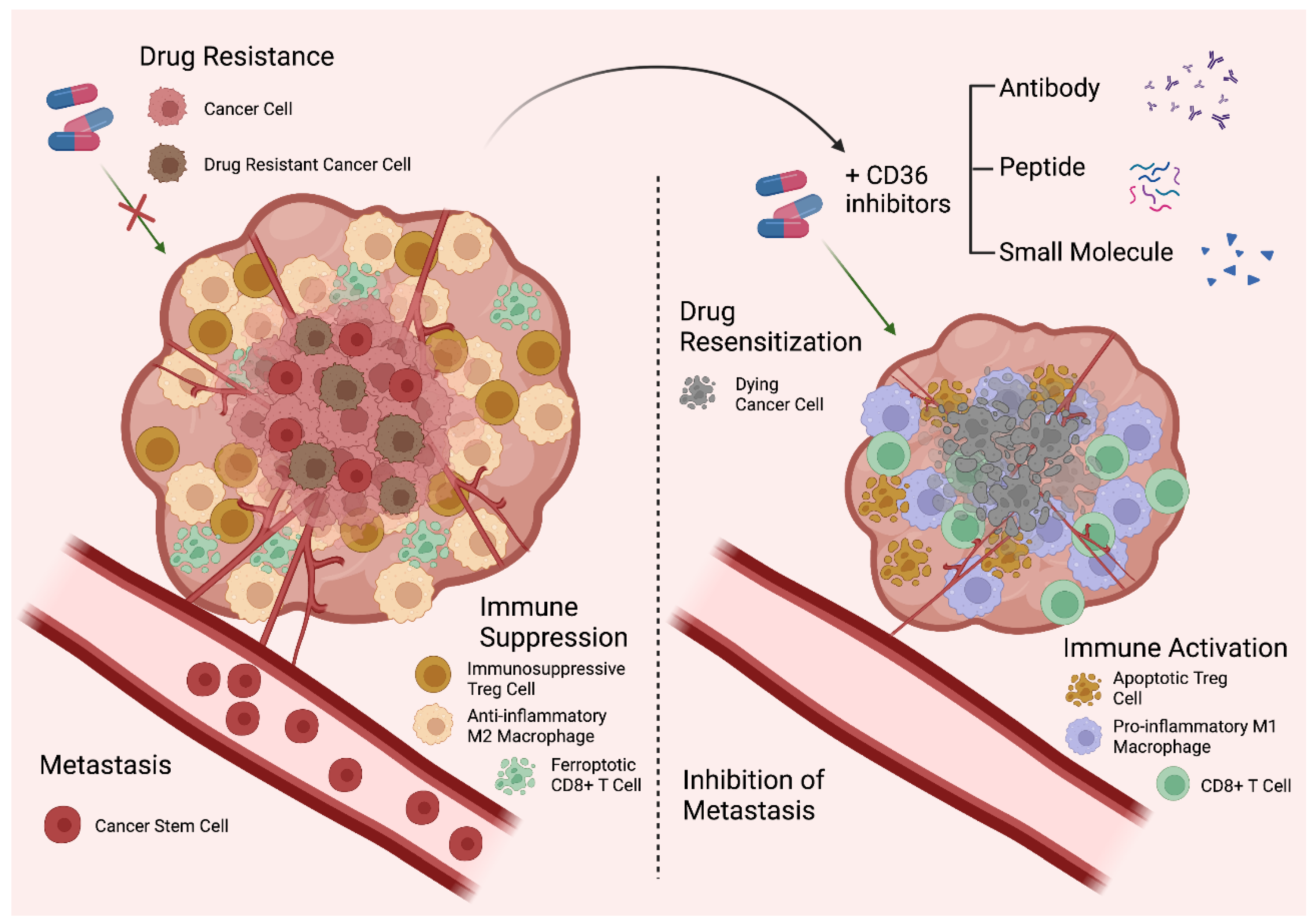 Cells 12 01605 g004 Cells 12 01605 g004