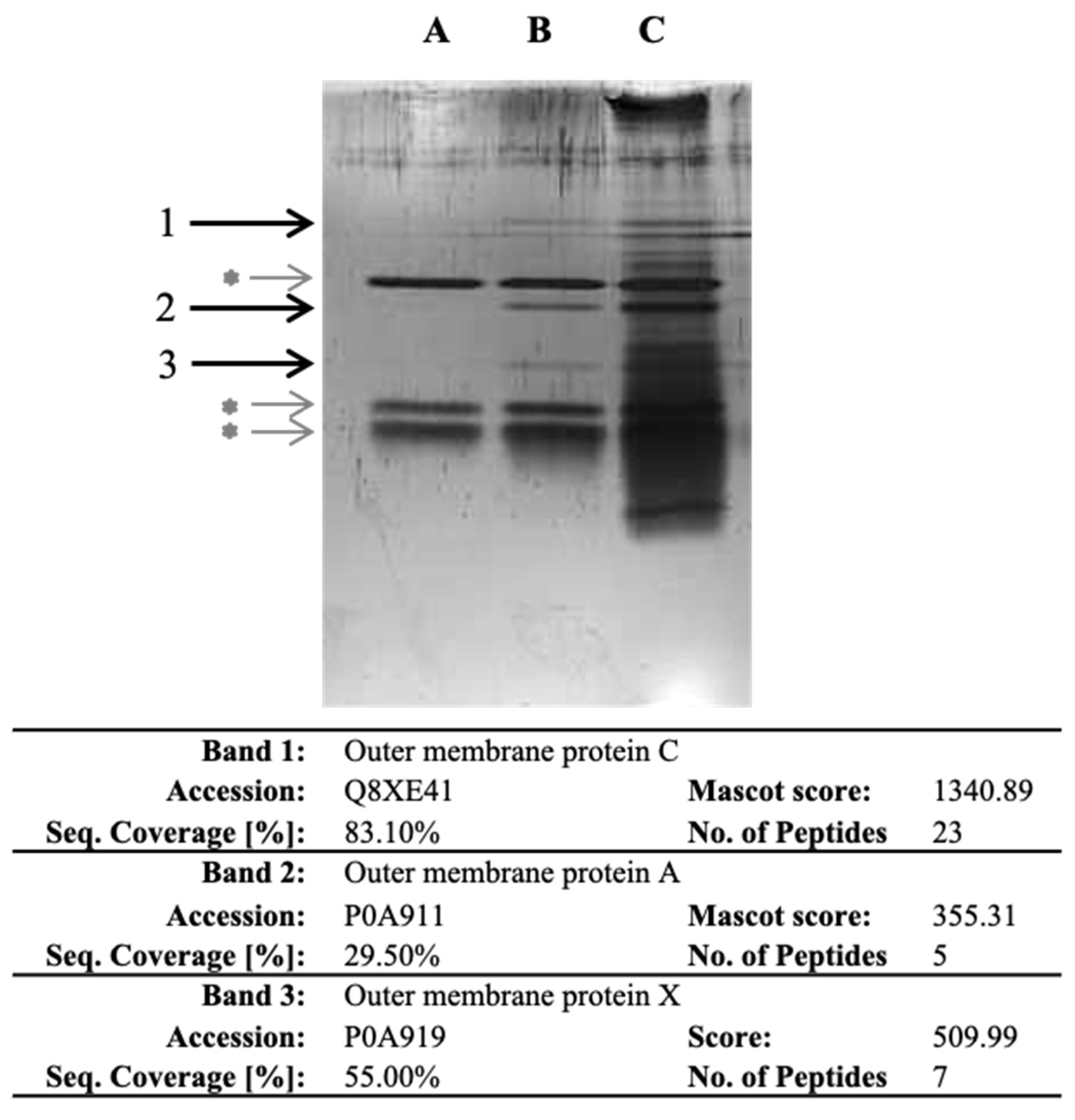 Cells 12 01634 g002 Cells 12 01634 g002