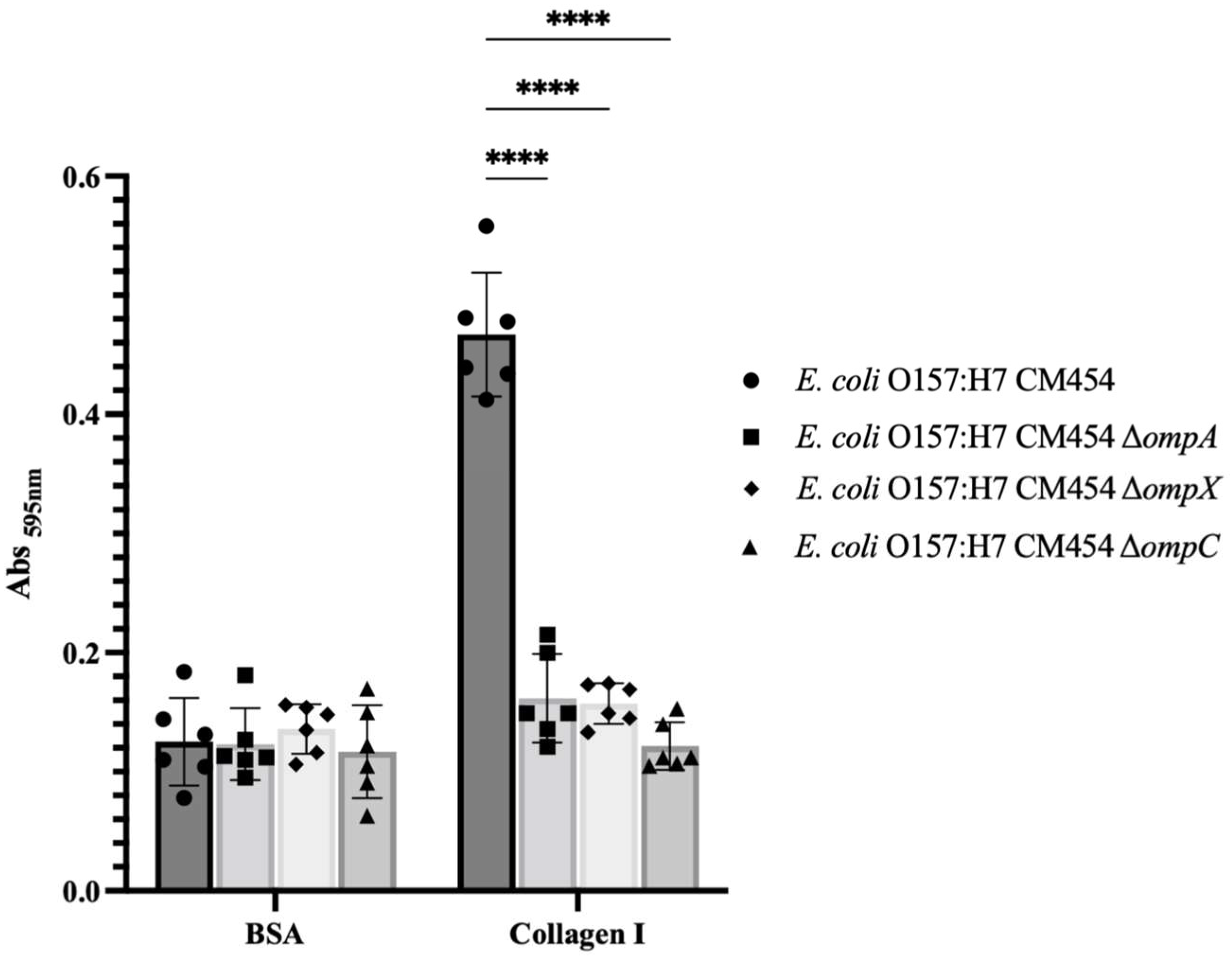 Cells 12 01634 g003 Cells 12 01634 g003