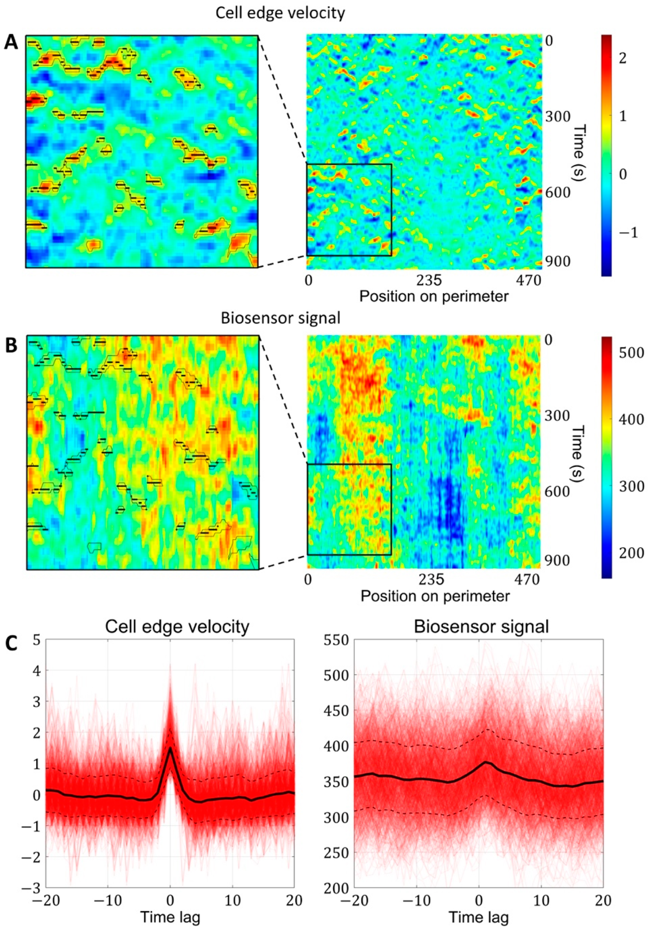 Cells 12 01638 g004 Cells 12 01638 g004