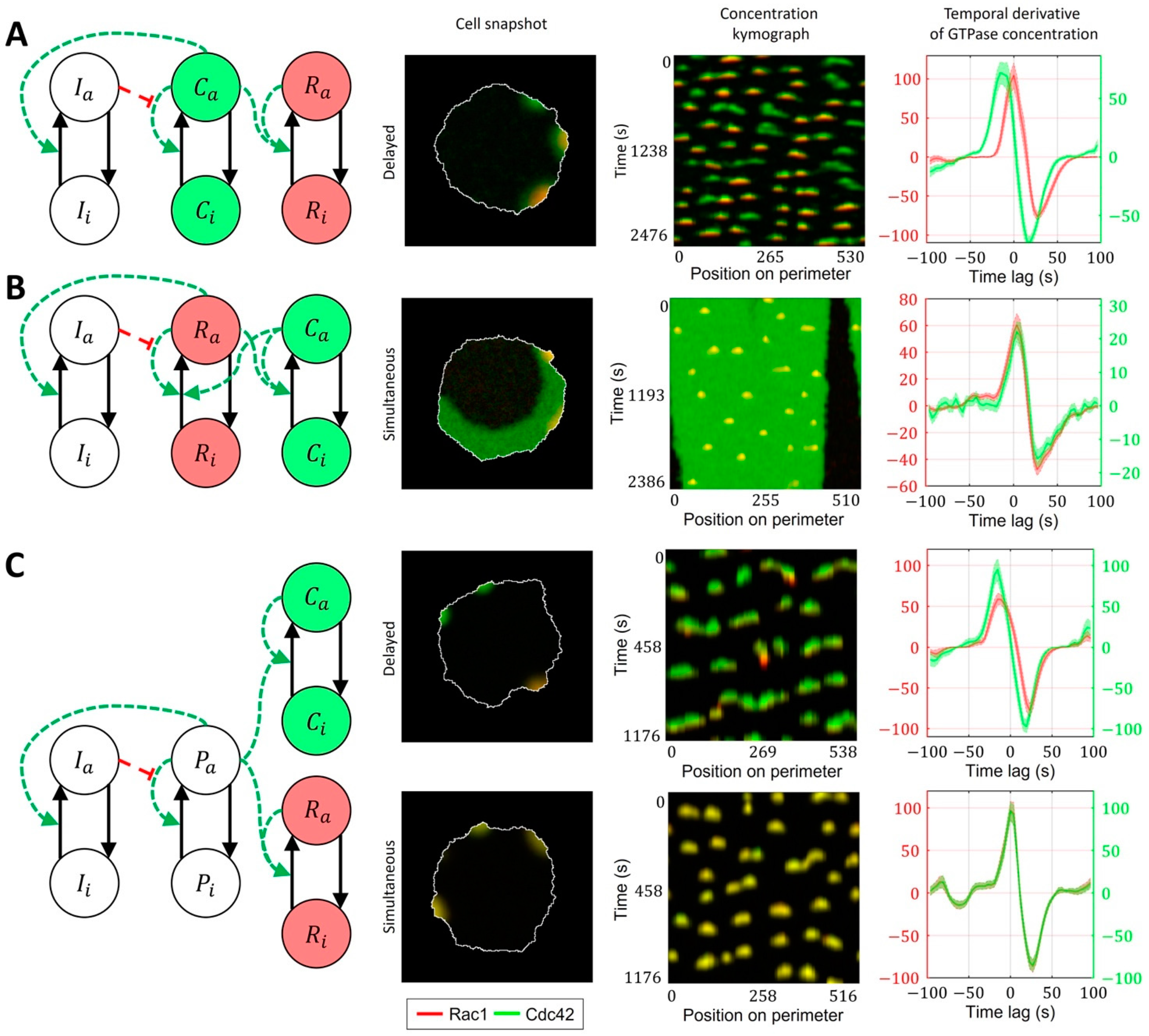 Cells 12 01638 g007 Cells 12 01638 g007