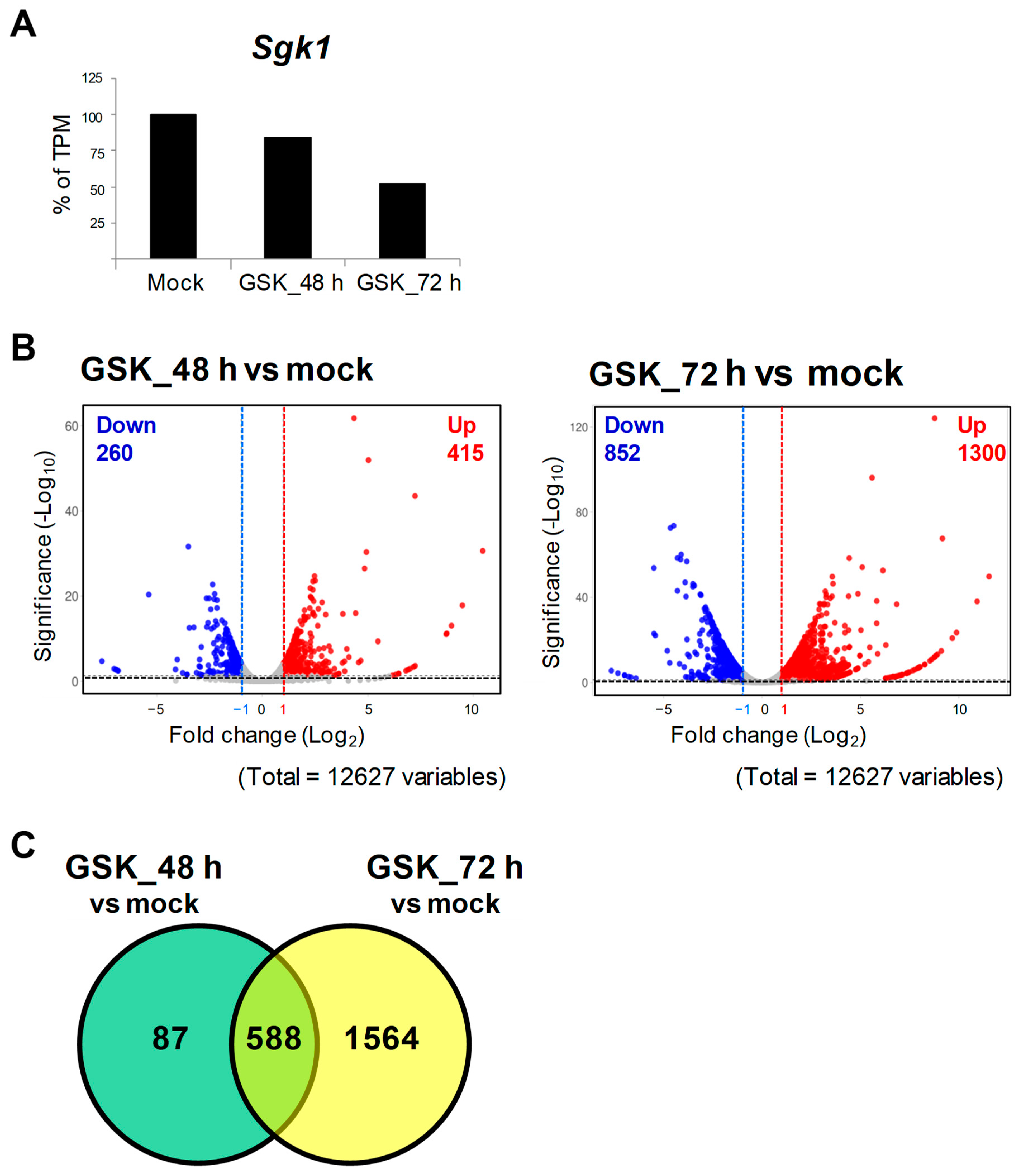 Cells 12 01641 g002 Cells 12 01641 g002