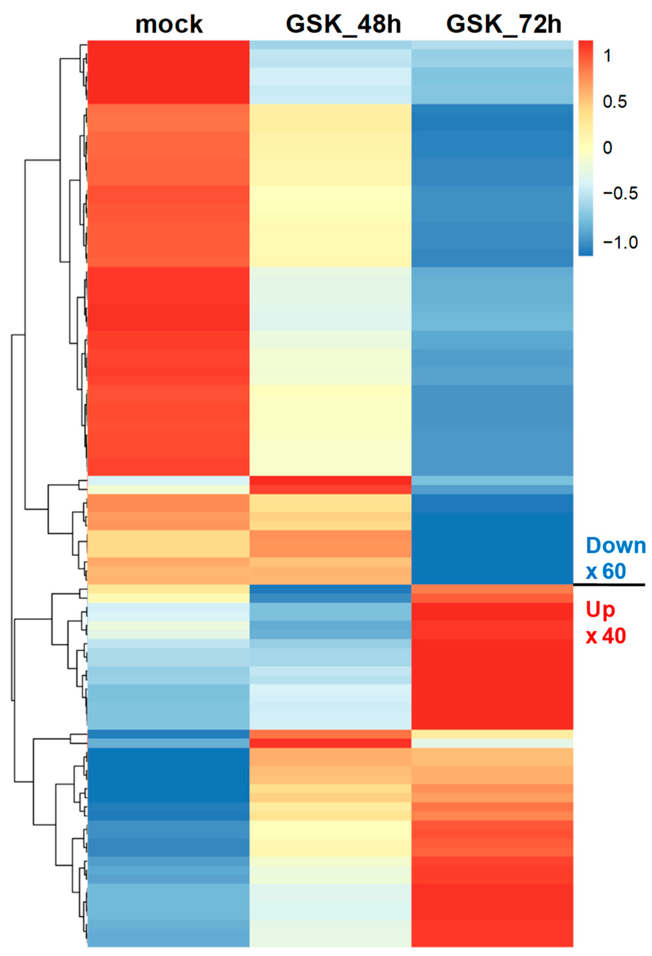 Cells 12 01641 g003 Cells 12 01641 g003