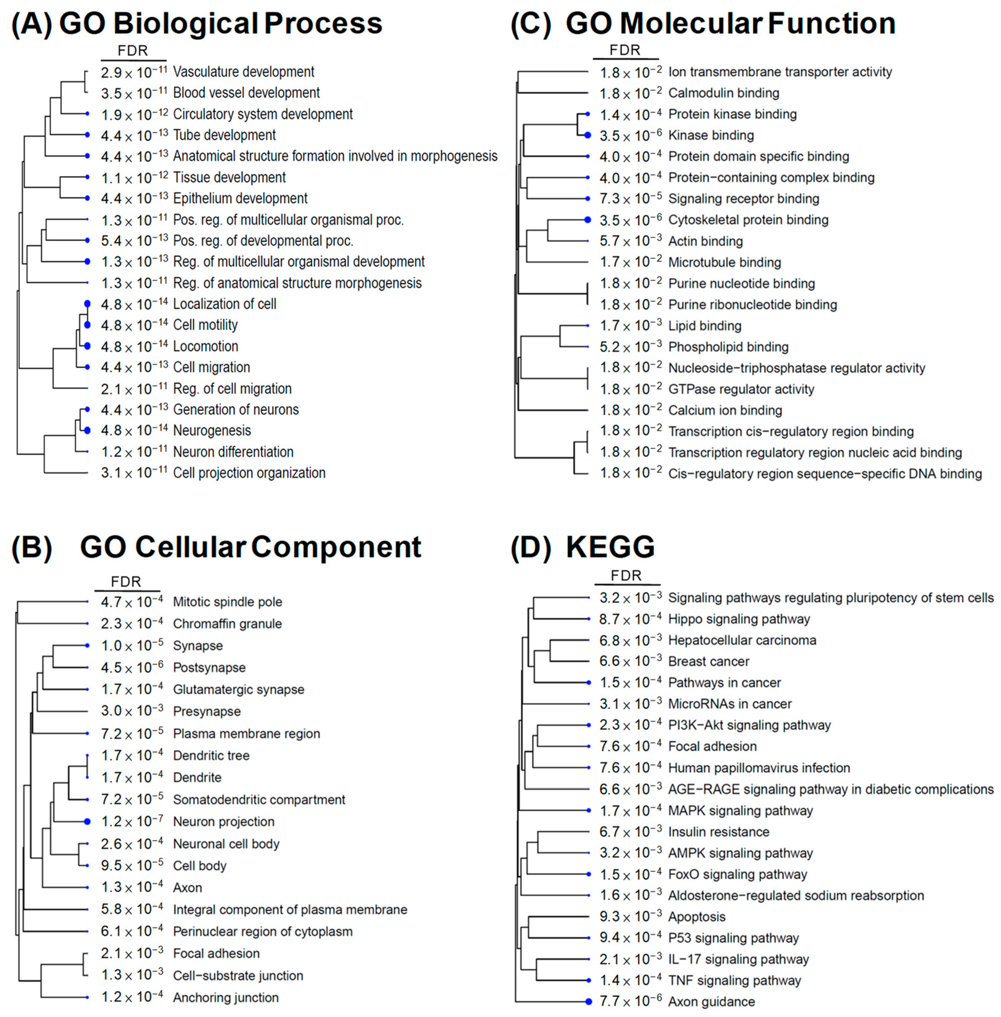 Cells 12 01641 g004 Cells 12 01641 g004