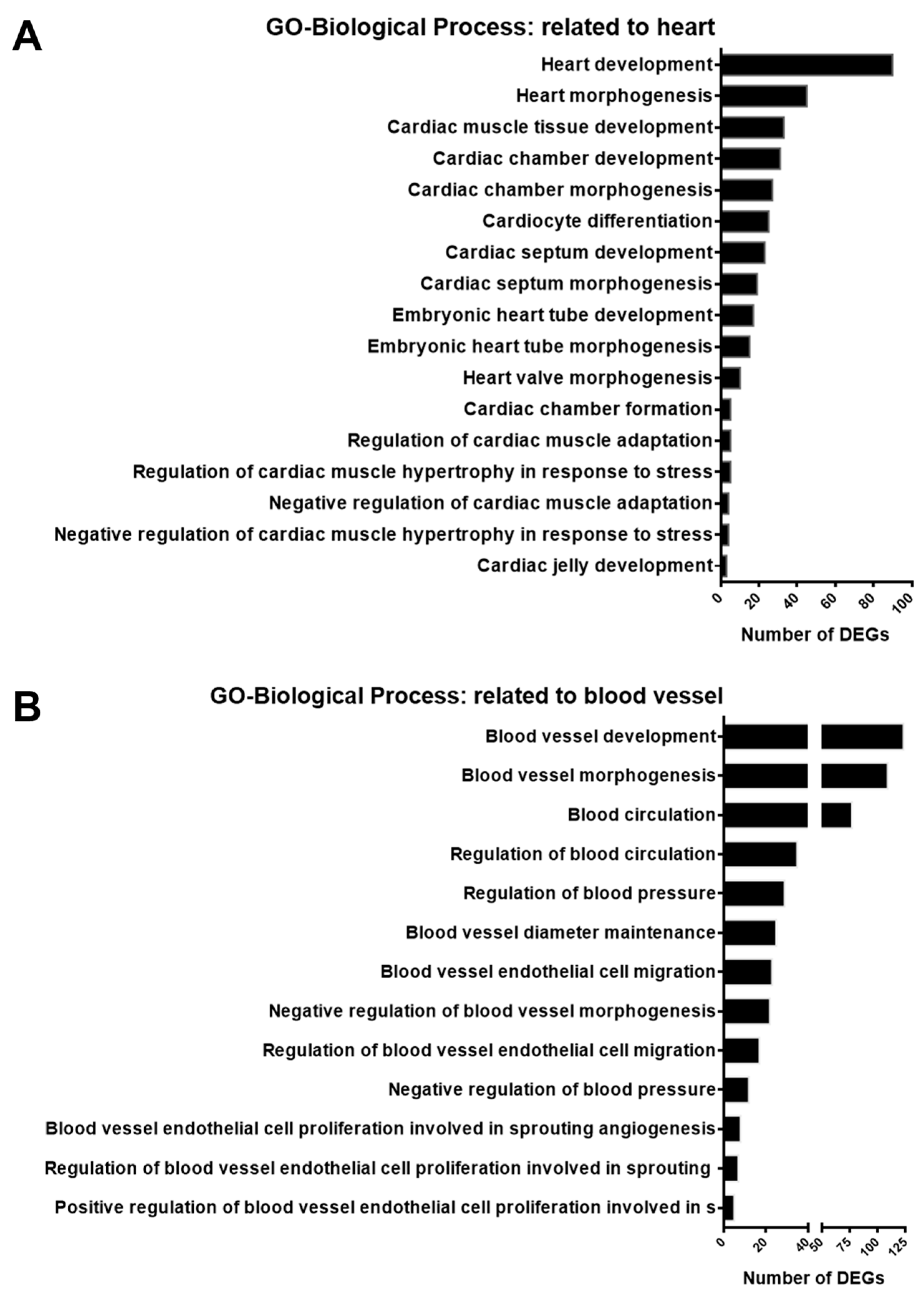 Cells 12 01641 g006 Cells 12 01641 g006