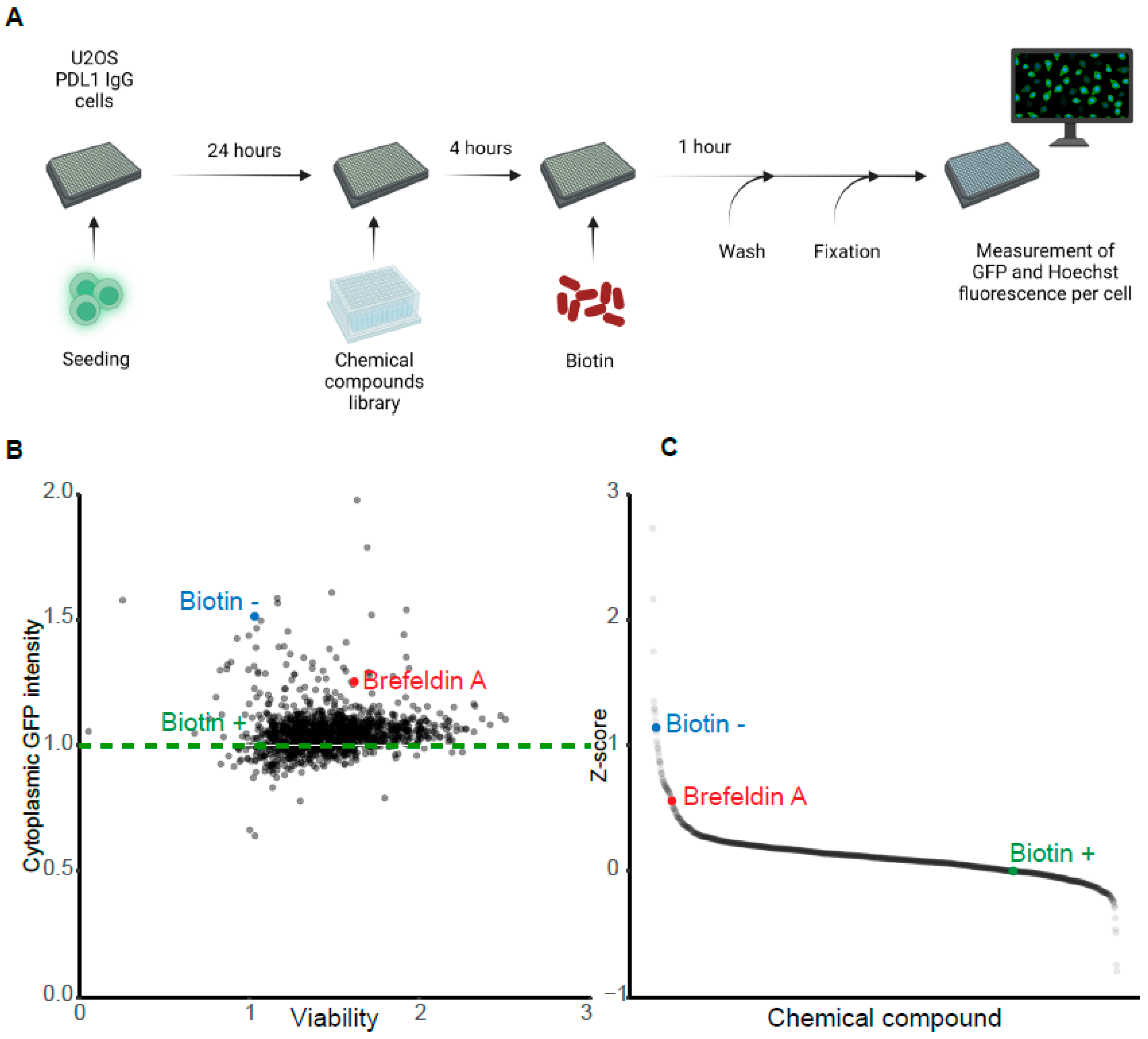 Cells 12 01642 g004 Cells 12 01642 g004