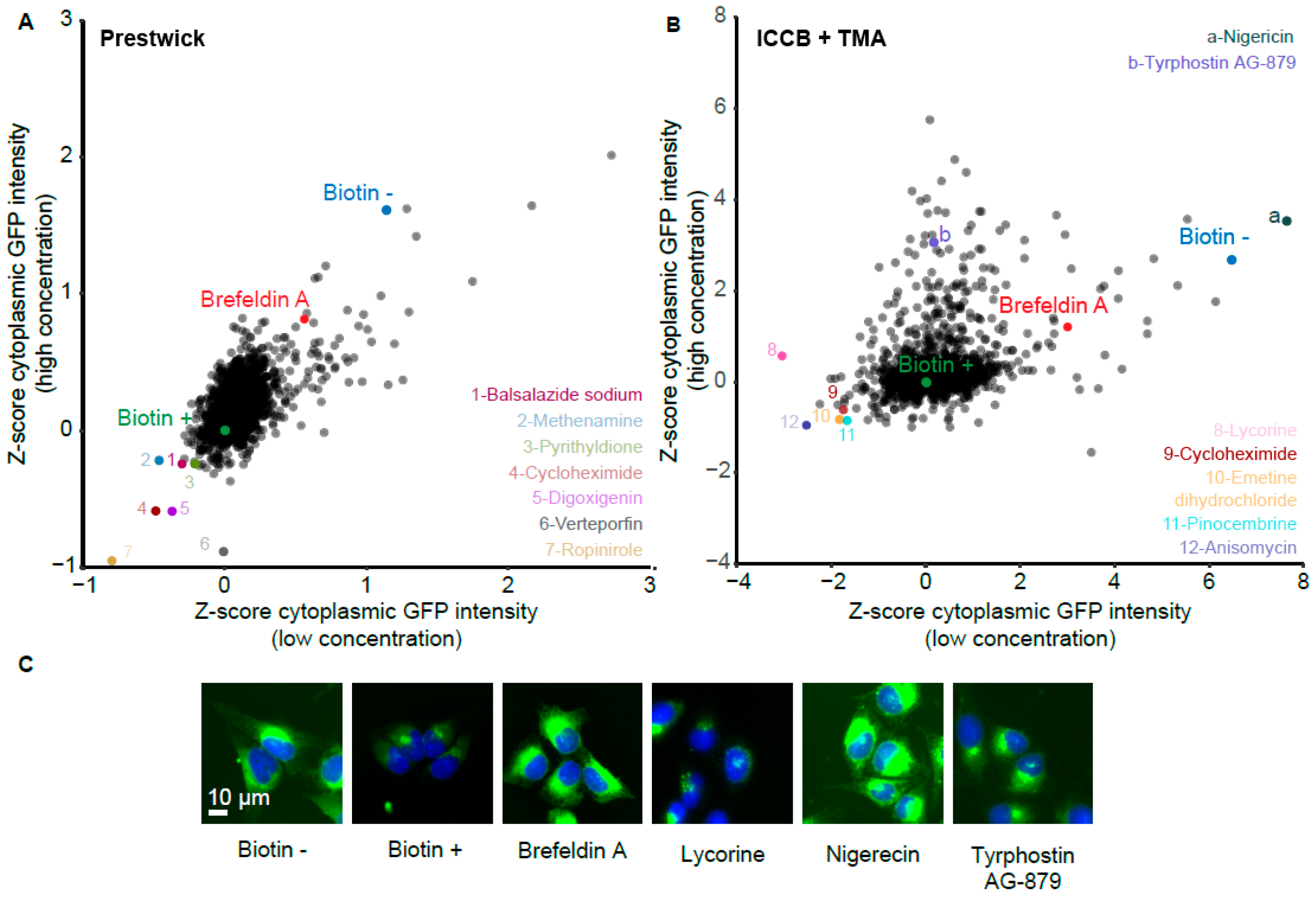 Cells 12 01642 g005 Cells 12 01642 g005