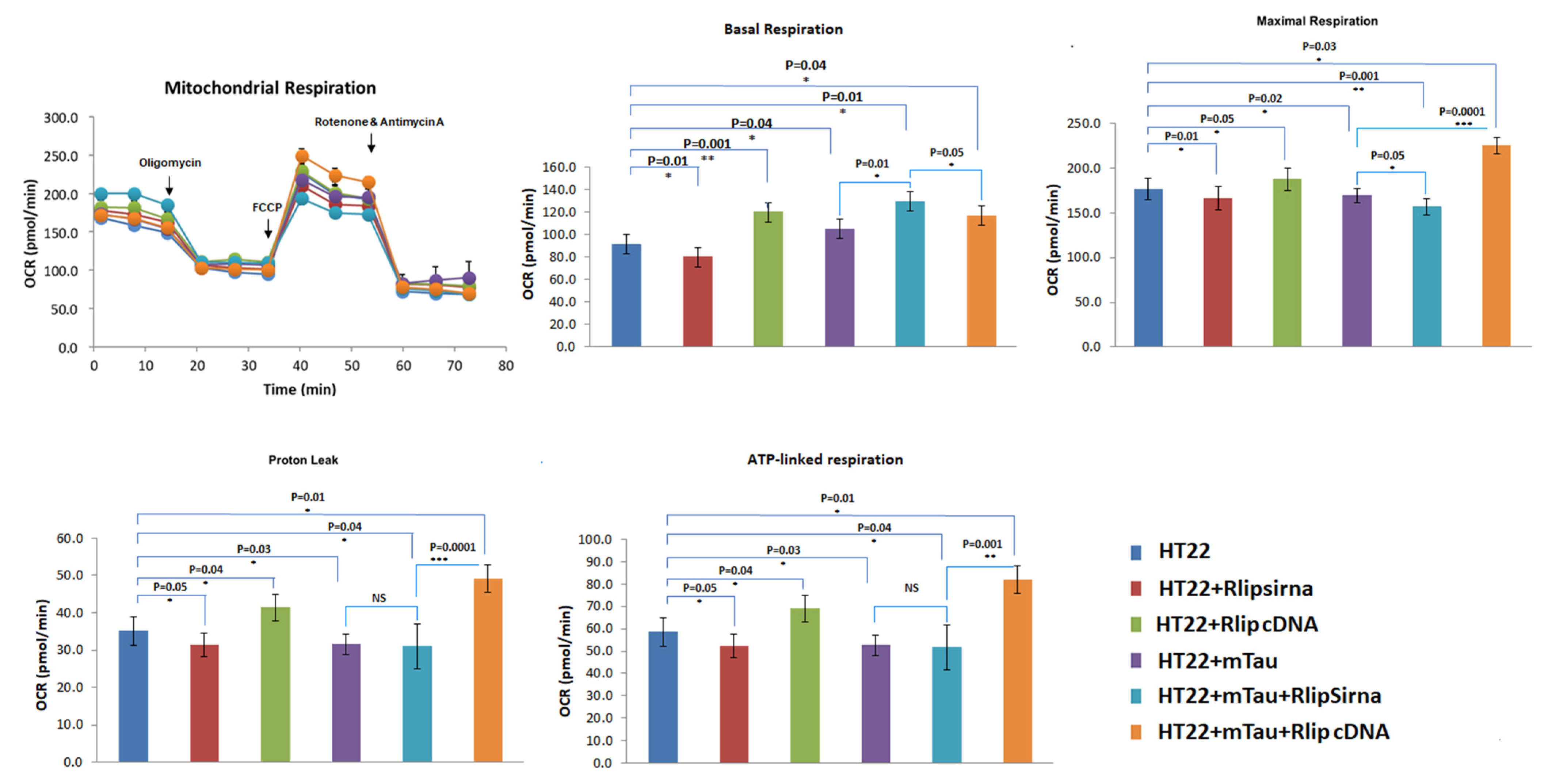 Cells 12 01646 g004 Cells 12 01646 g004