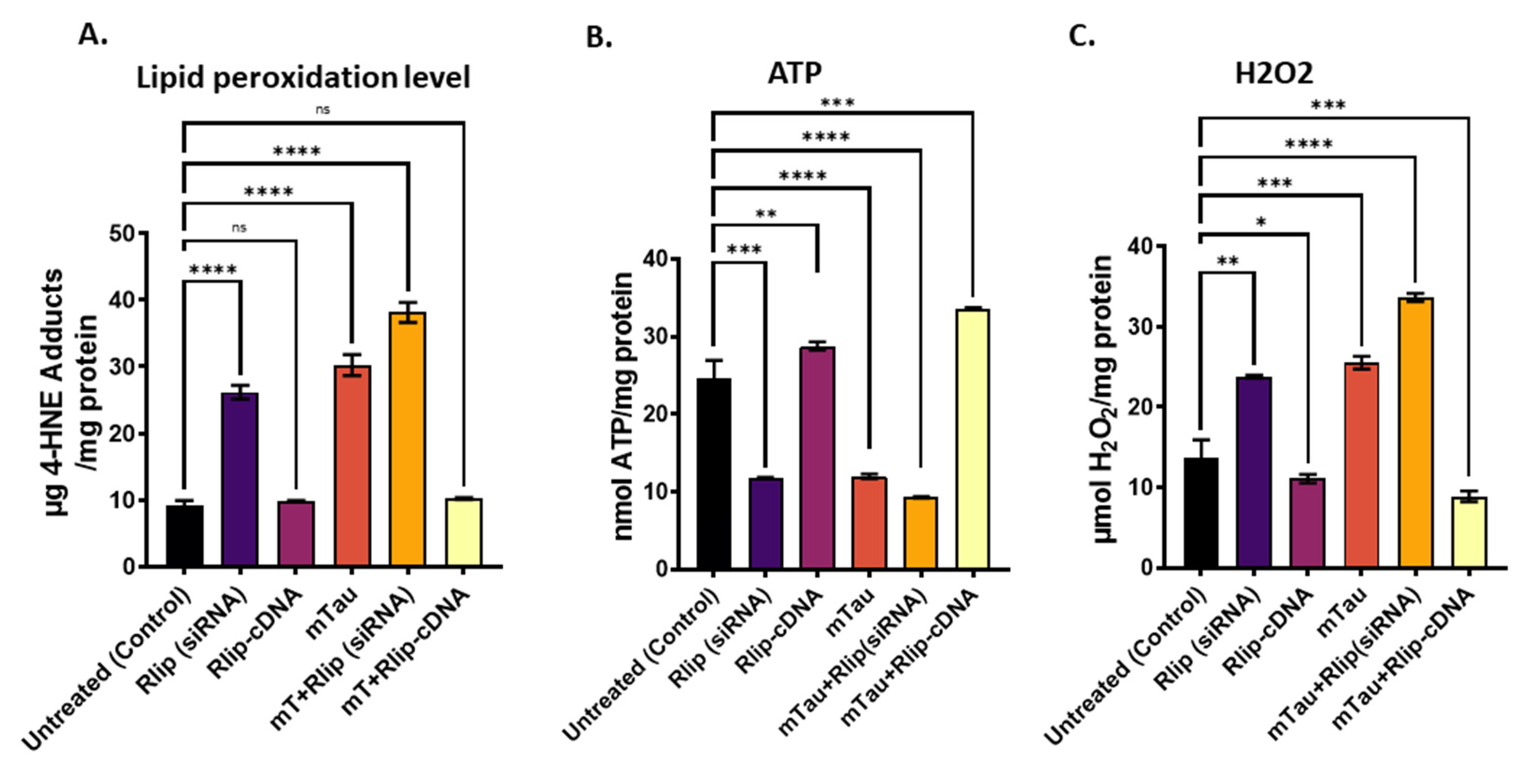 Cells 12 01646 g005 Cells 12 01646 g005