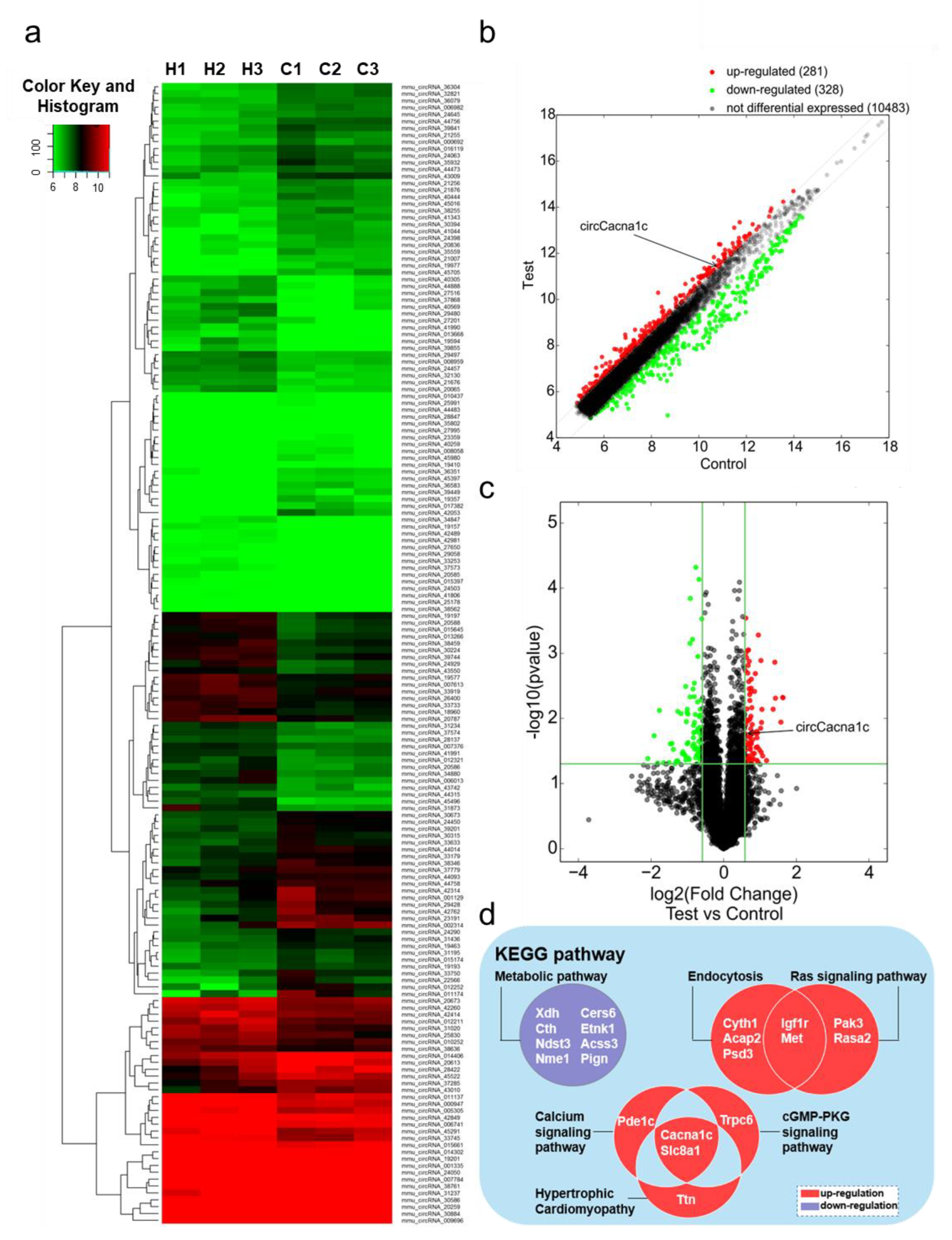 Surface-engineered bio-manufactured gas vesicles for