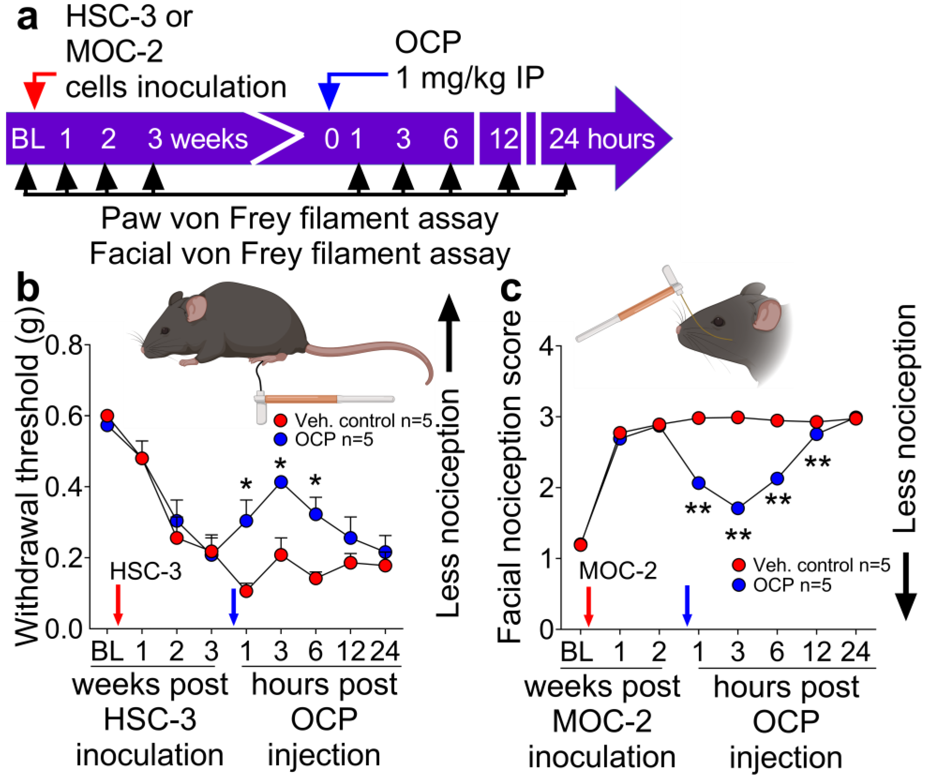 Cells 12 01675 g003 Cells 12 01675 g003