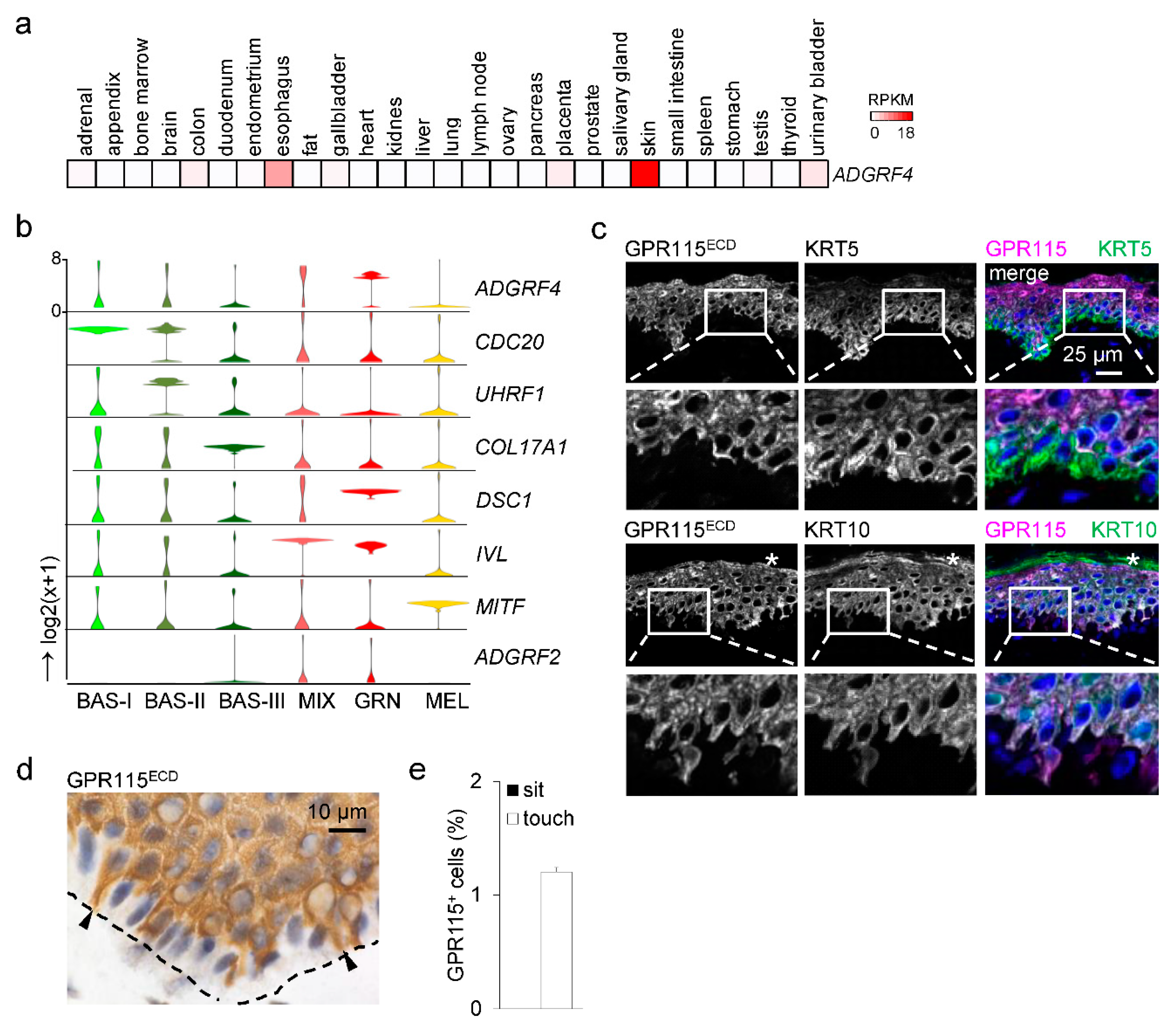 Cells 12 01677 g001 550