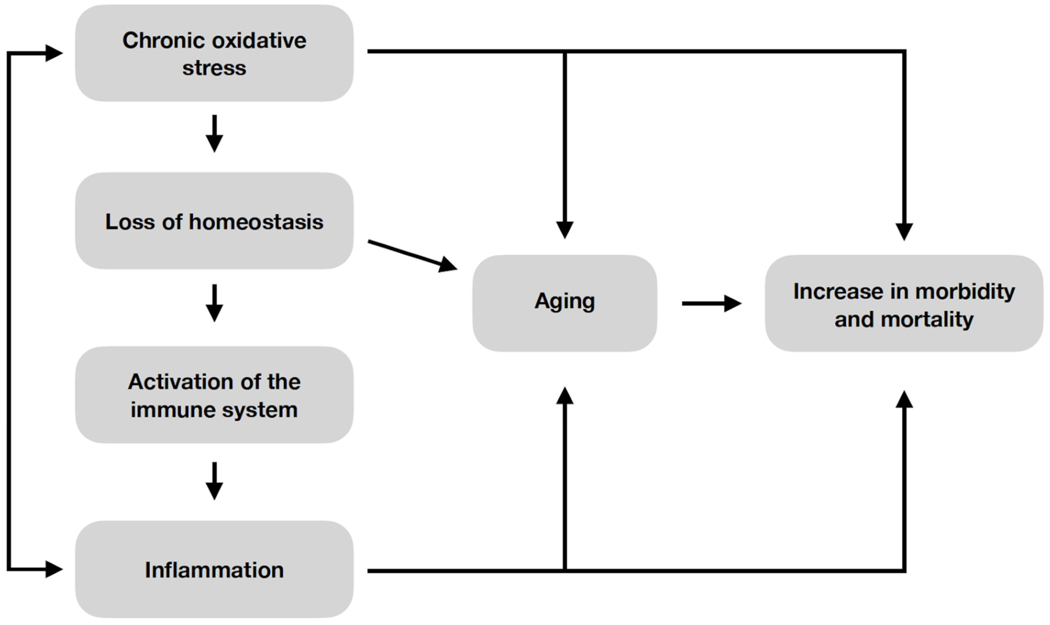 Cells 12 01679 g003 Cells 12 01679 g003