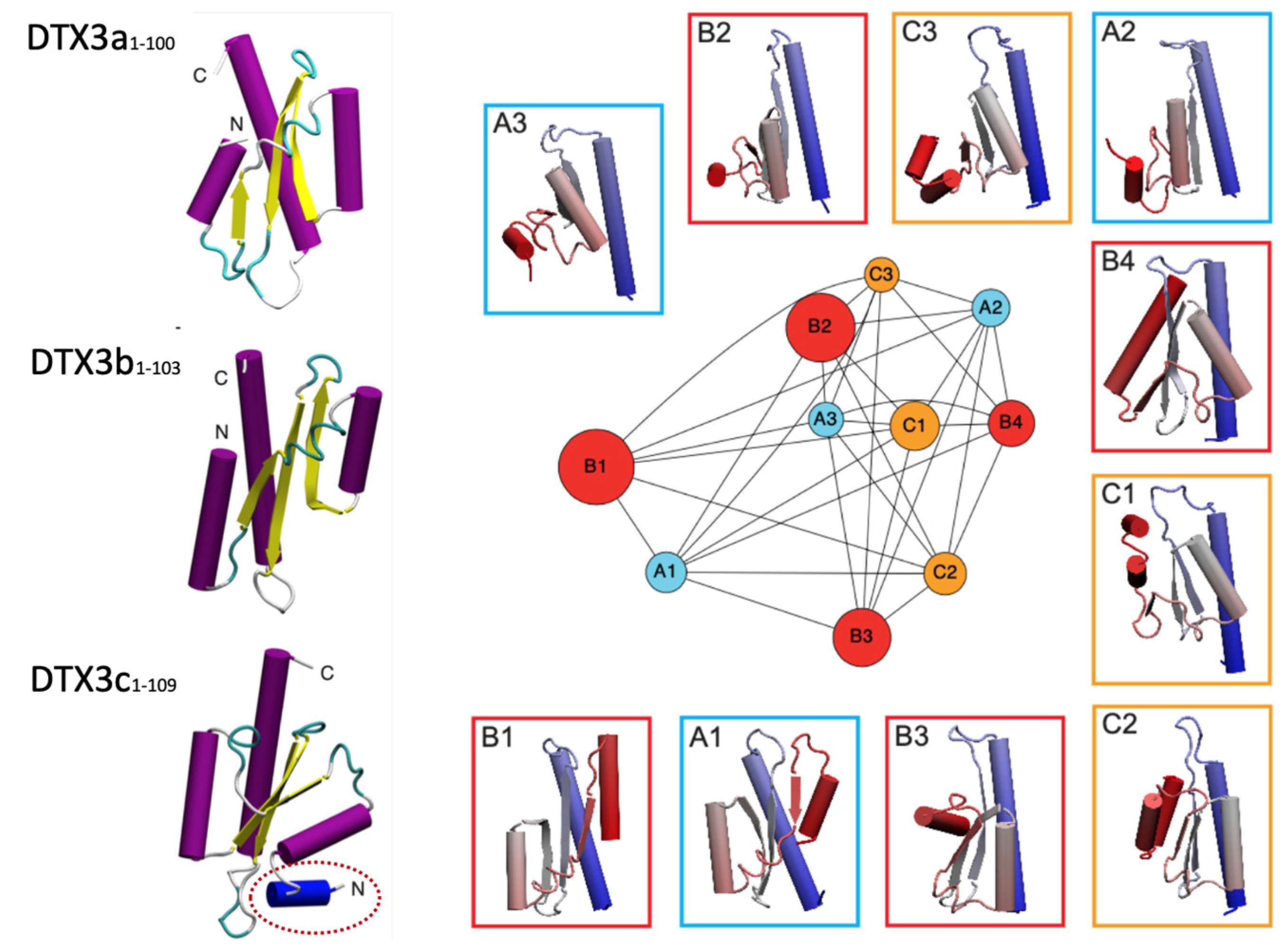 Cells 12 01680 g003 Cells 12 01680 g003