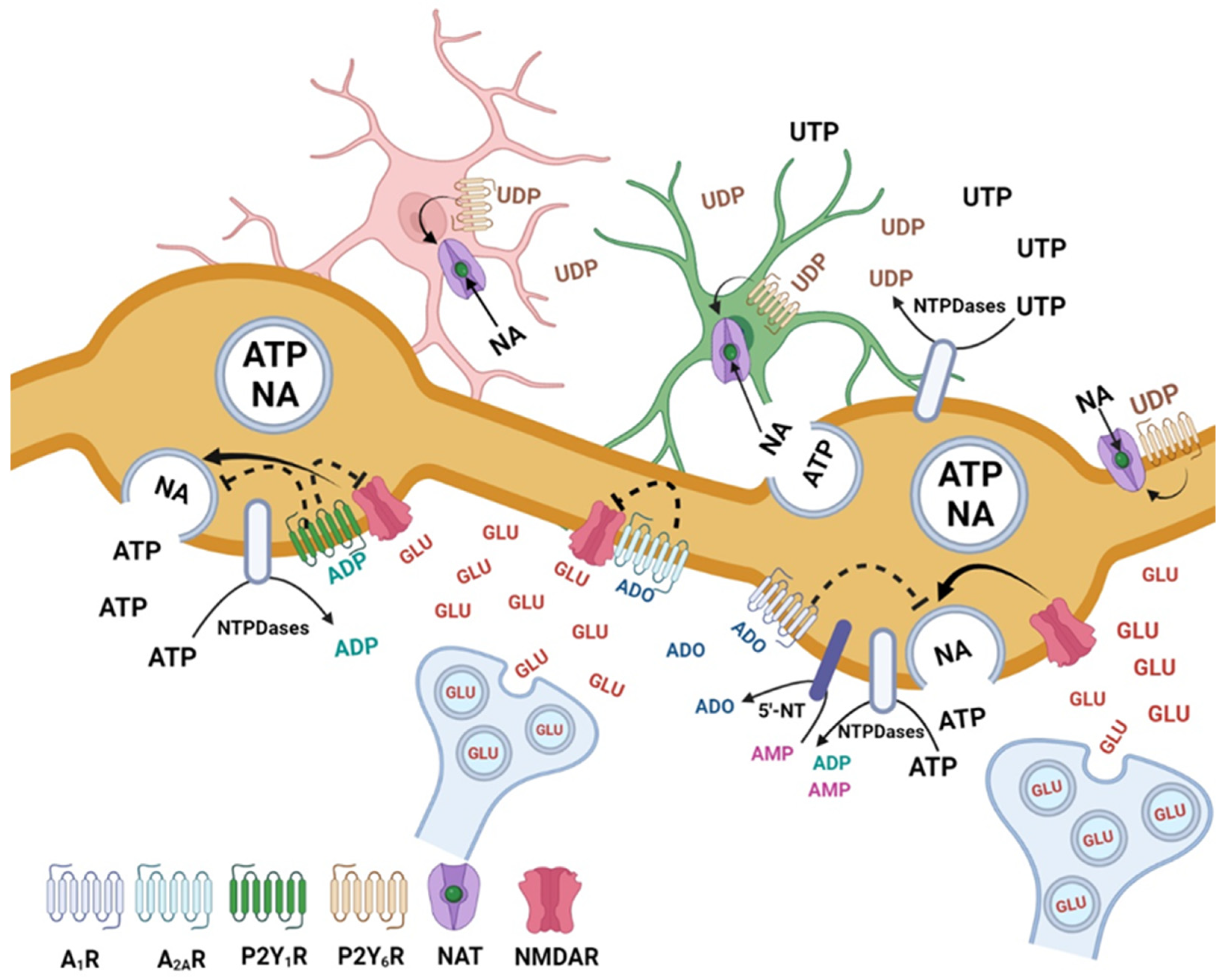 Cells 12 01690 g007 Cells 12 01690 g007