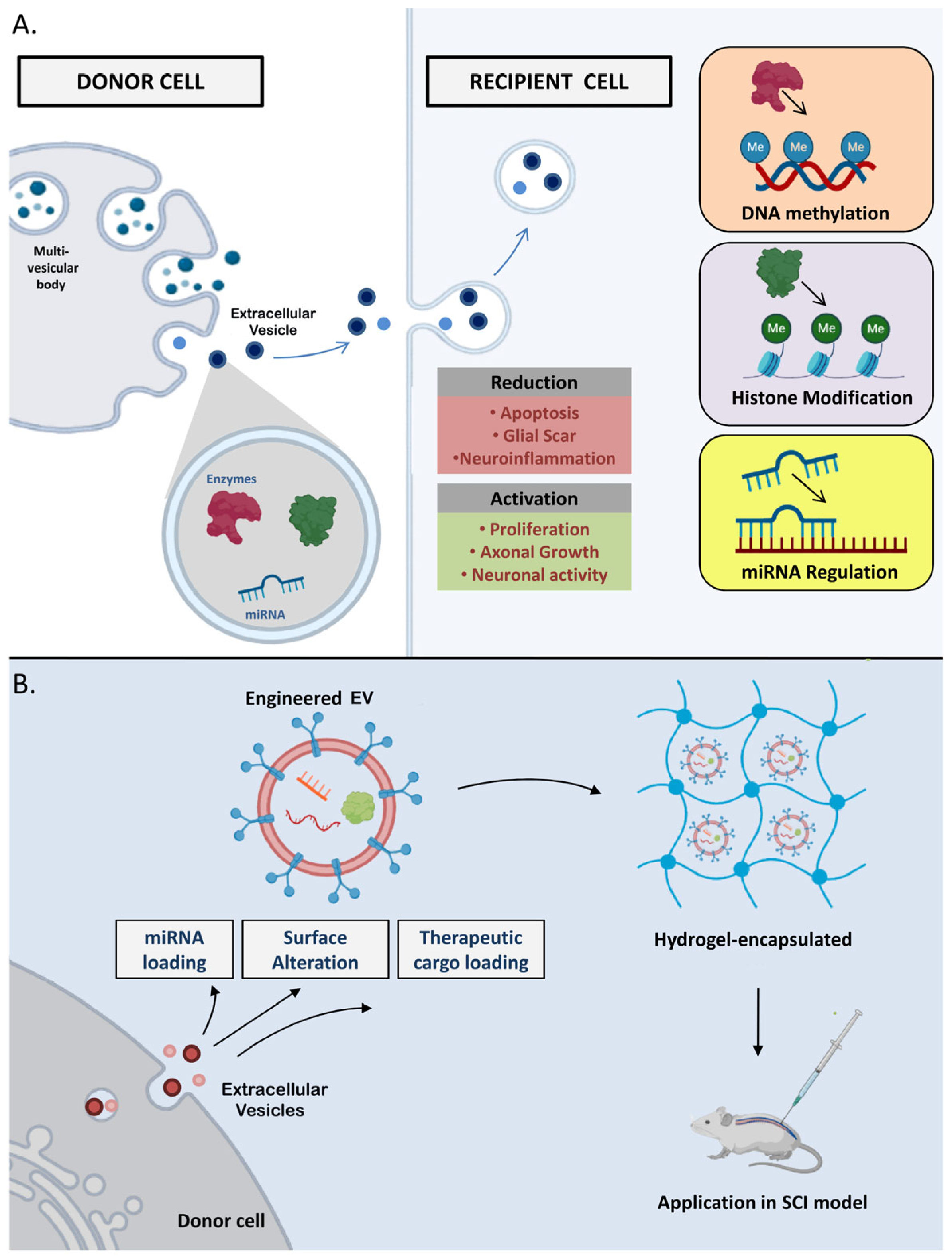 Cells 12 01694 g003 Cells 12 01694 g003