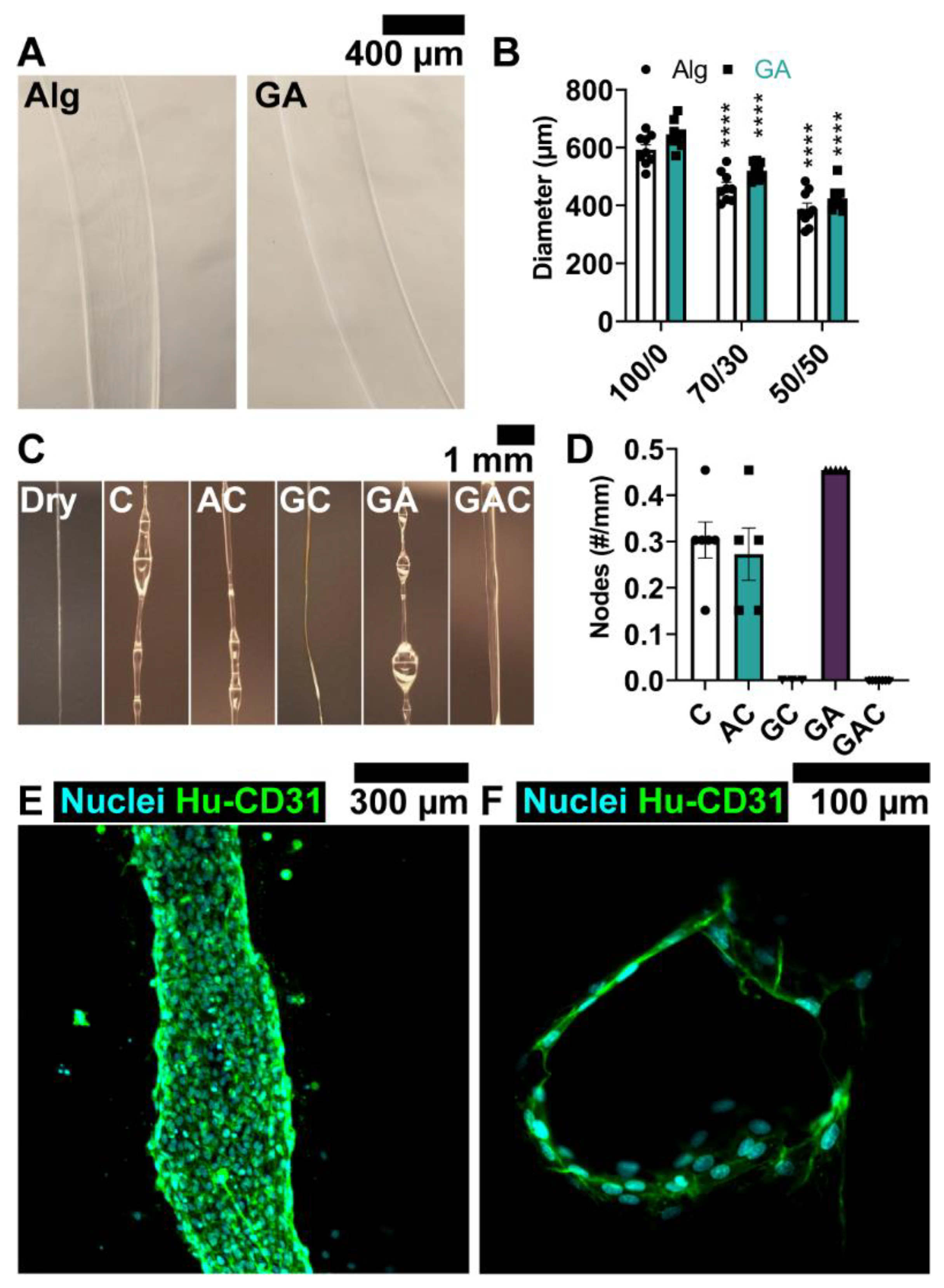 Cells 12 01698 g003 Cells 12 01698 g003