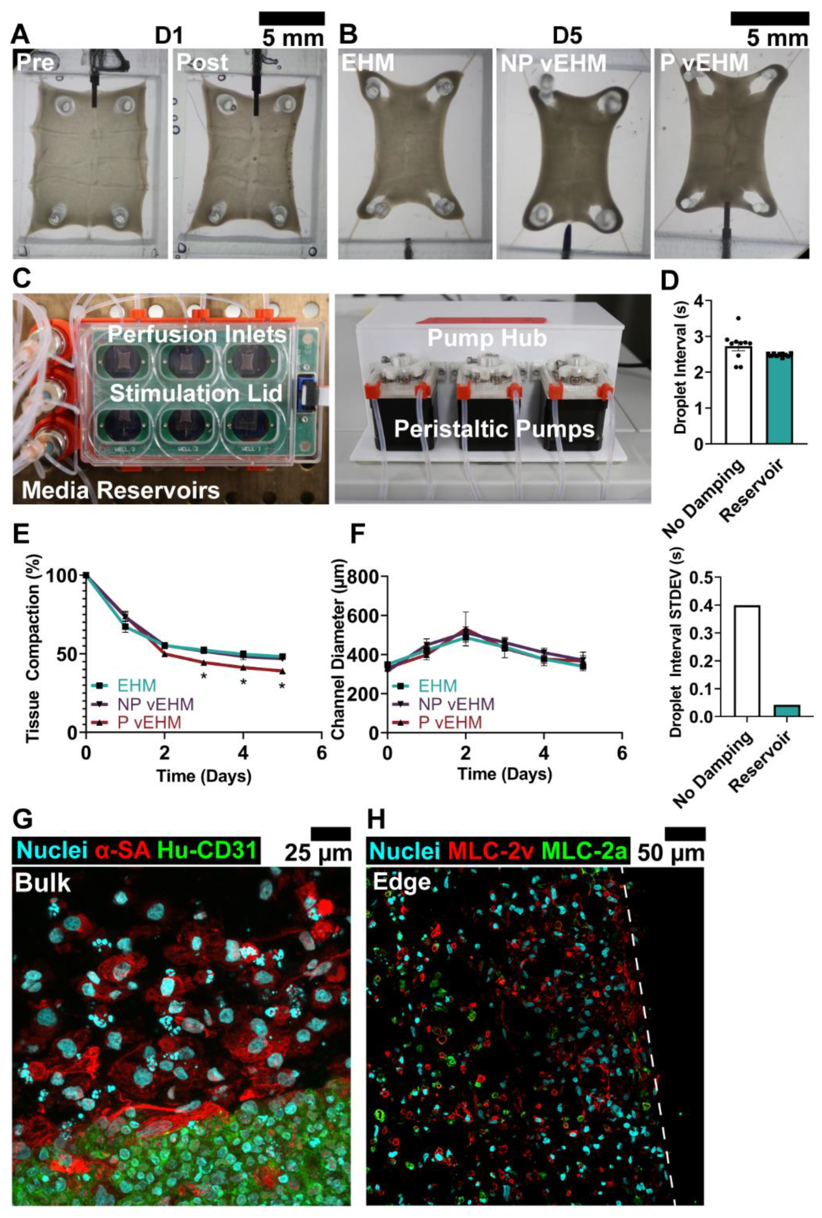 Cells 12 01698 g004 Cells 12 01698 g004