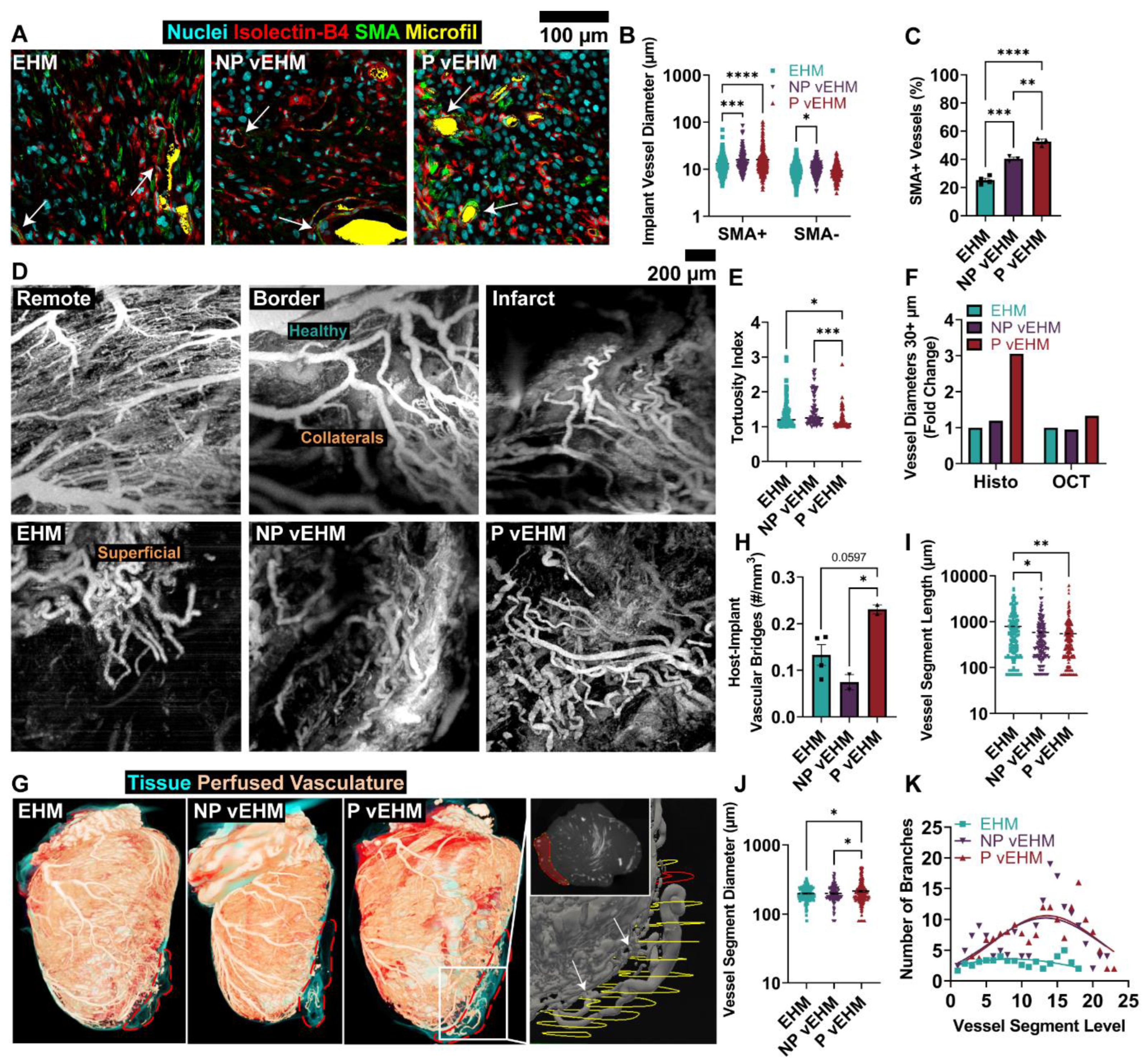 Cells 12 01698 g006 Cells 12 01698 g006