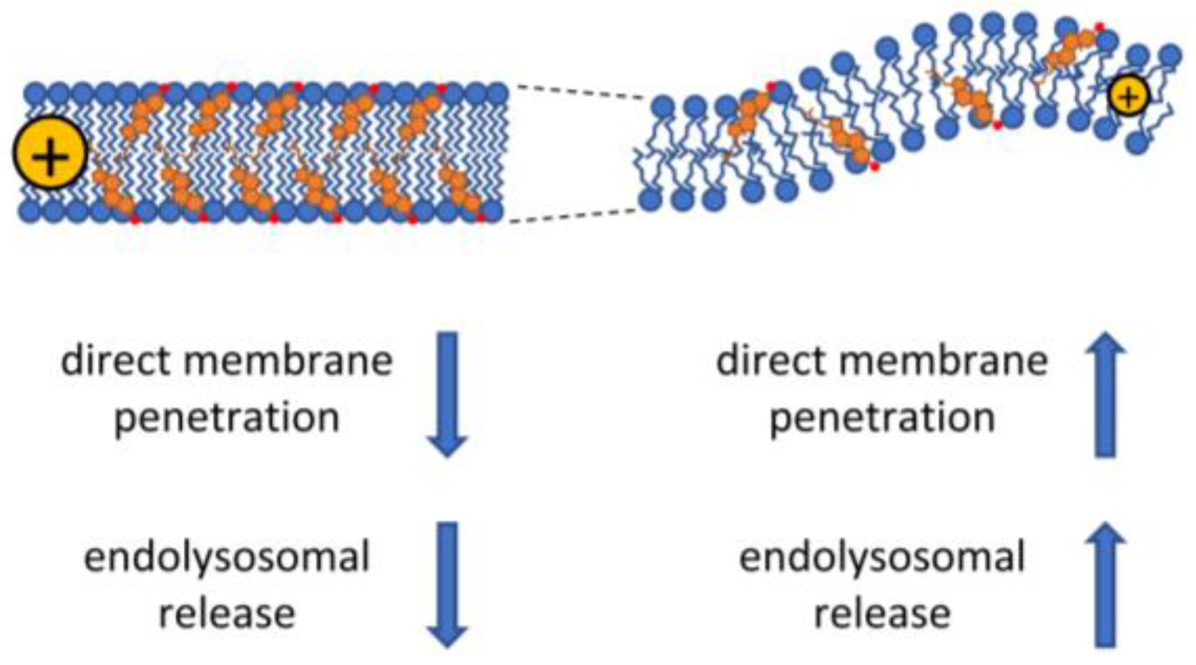 Cells 12 01700 g003 Cells 12 01700 g003