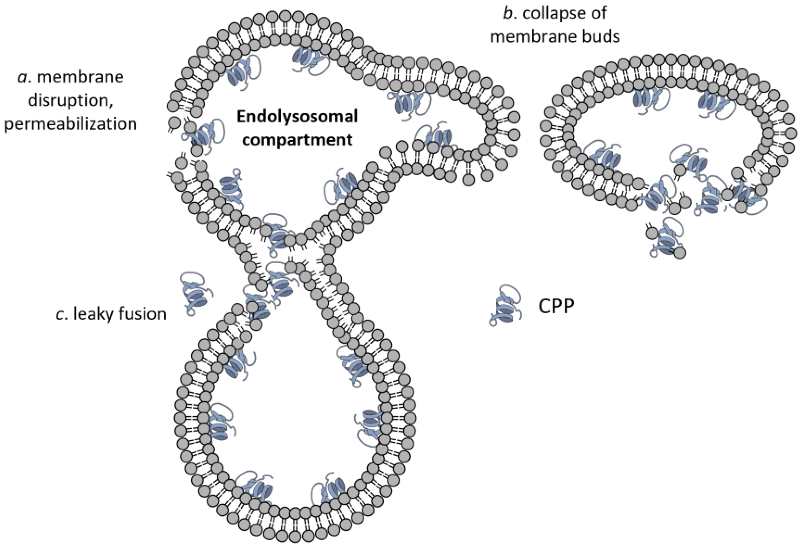 Cells 12 01700 g004 Cells 12 01700 g004