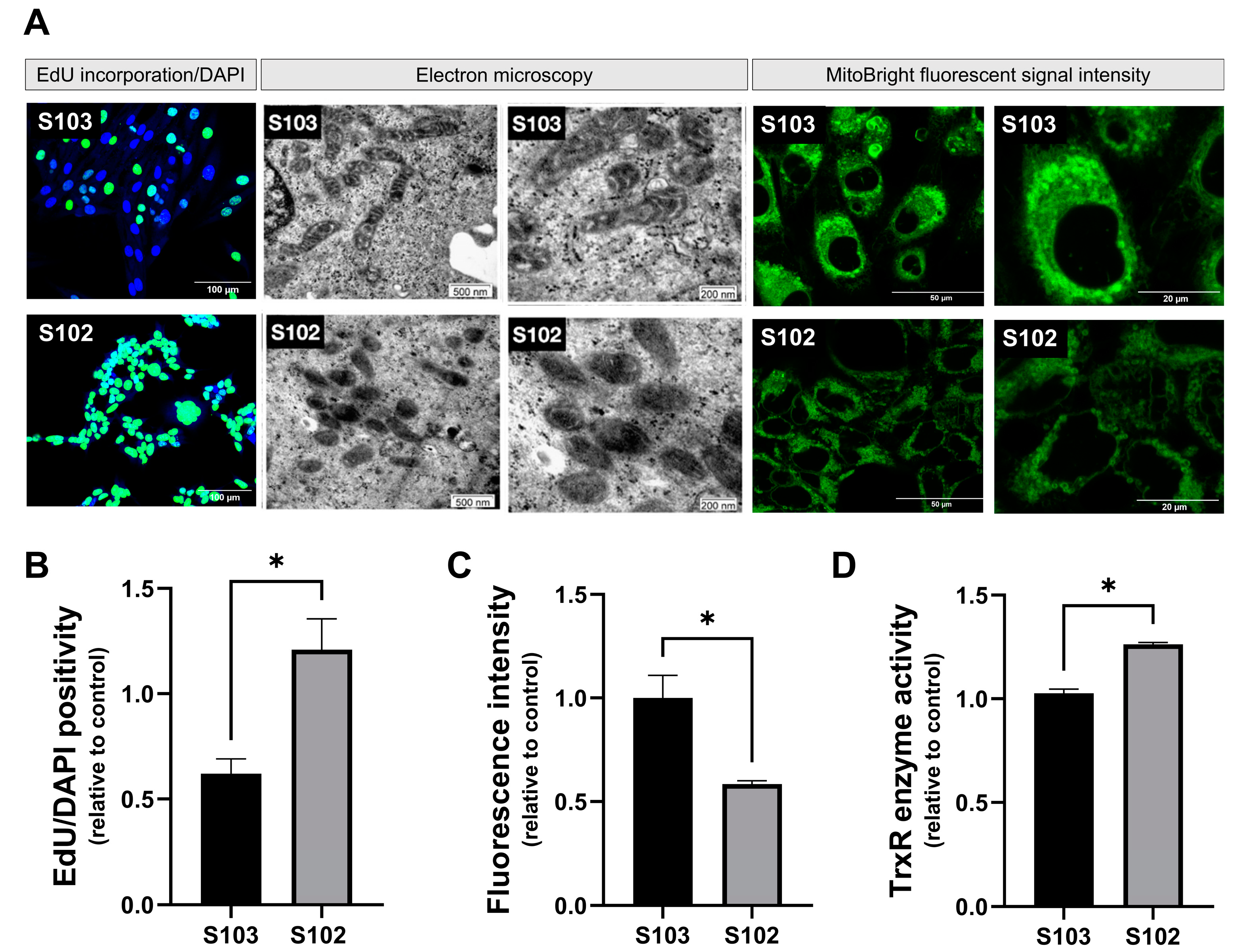Cells 12 01713 g002 Cells 12 01713 g002