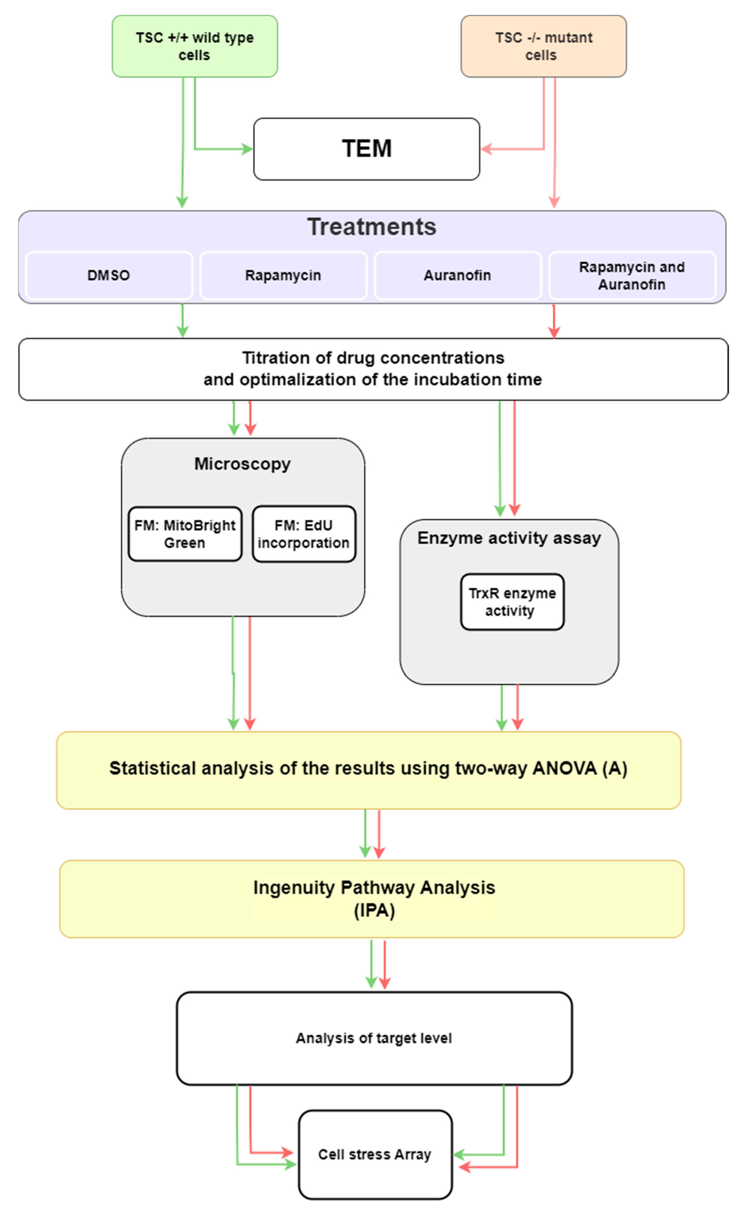 Cells 12 01713 g003 Cells 12 01713 g003