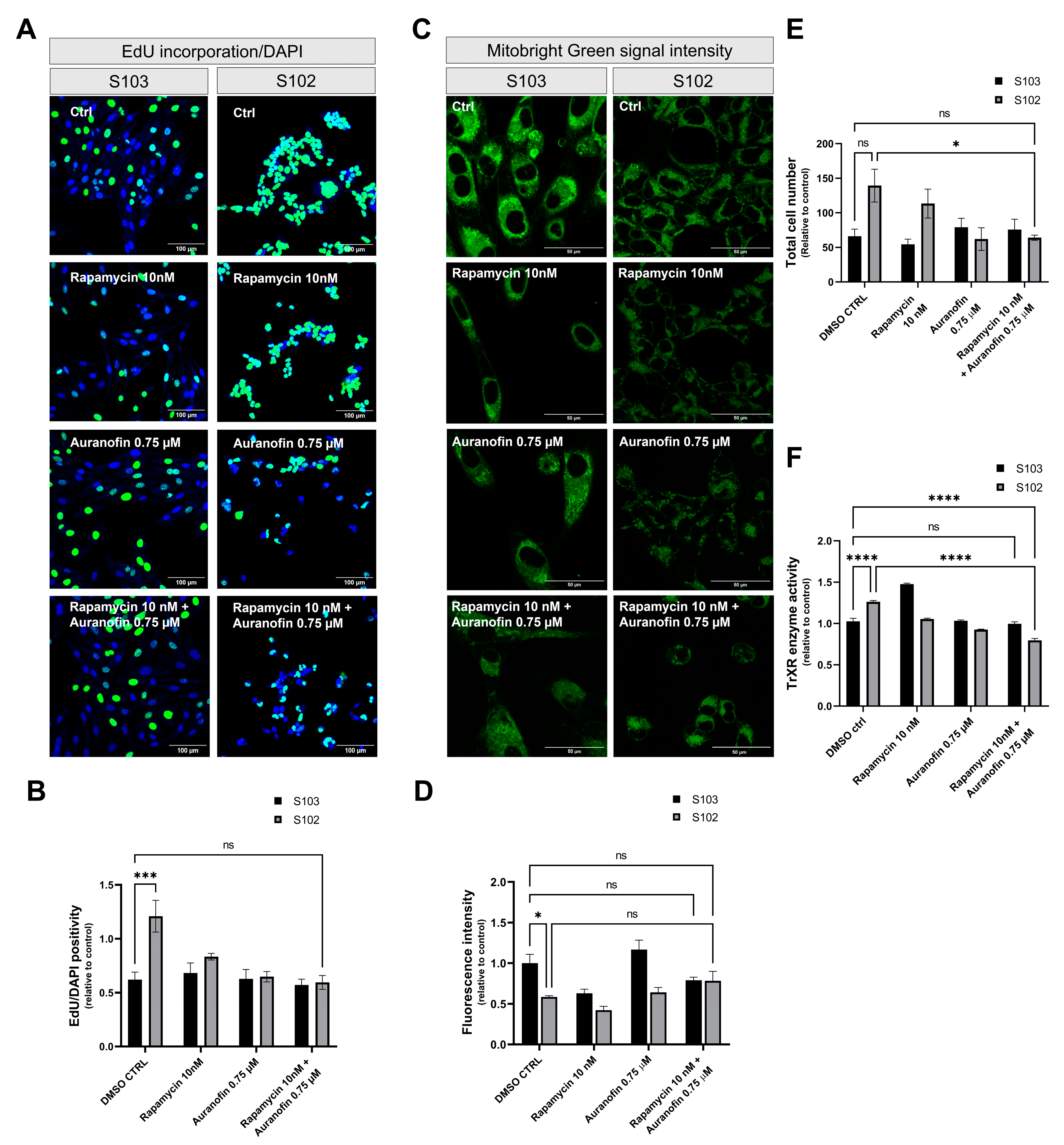 Cells 12 01713 g004 Cells 12 01713 g004