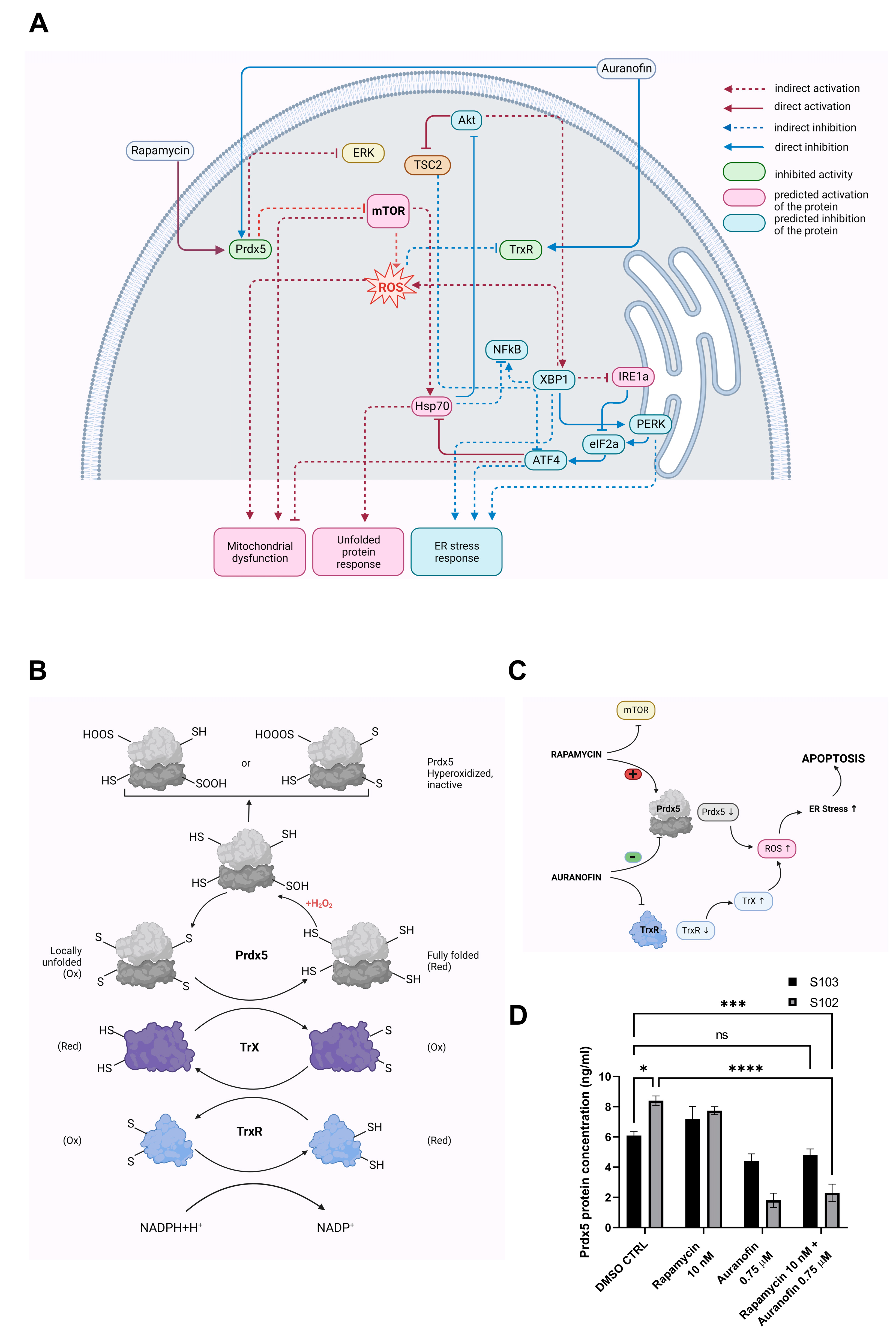 Cells 12 01713 g005 Cells 12 01713 g005