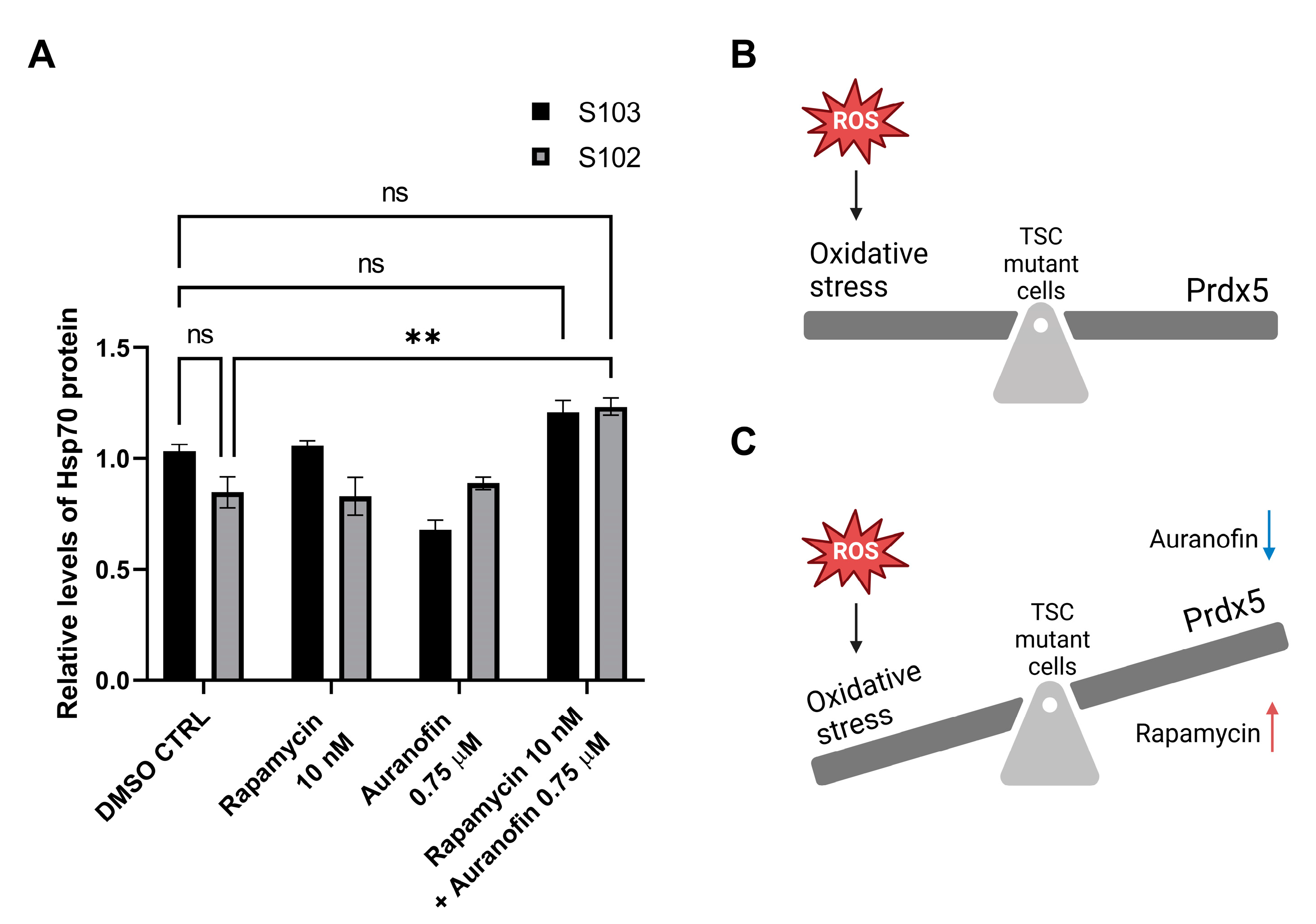 Cells 12 01713 g006 Cells 12 01713 g006