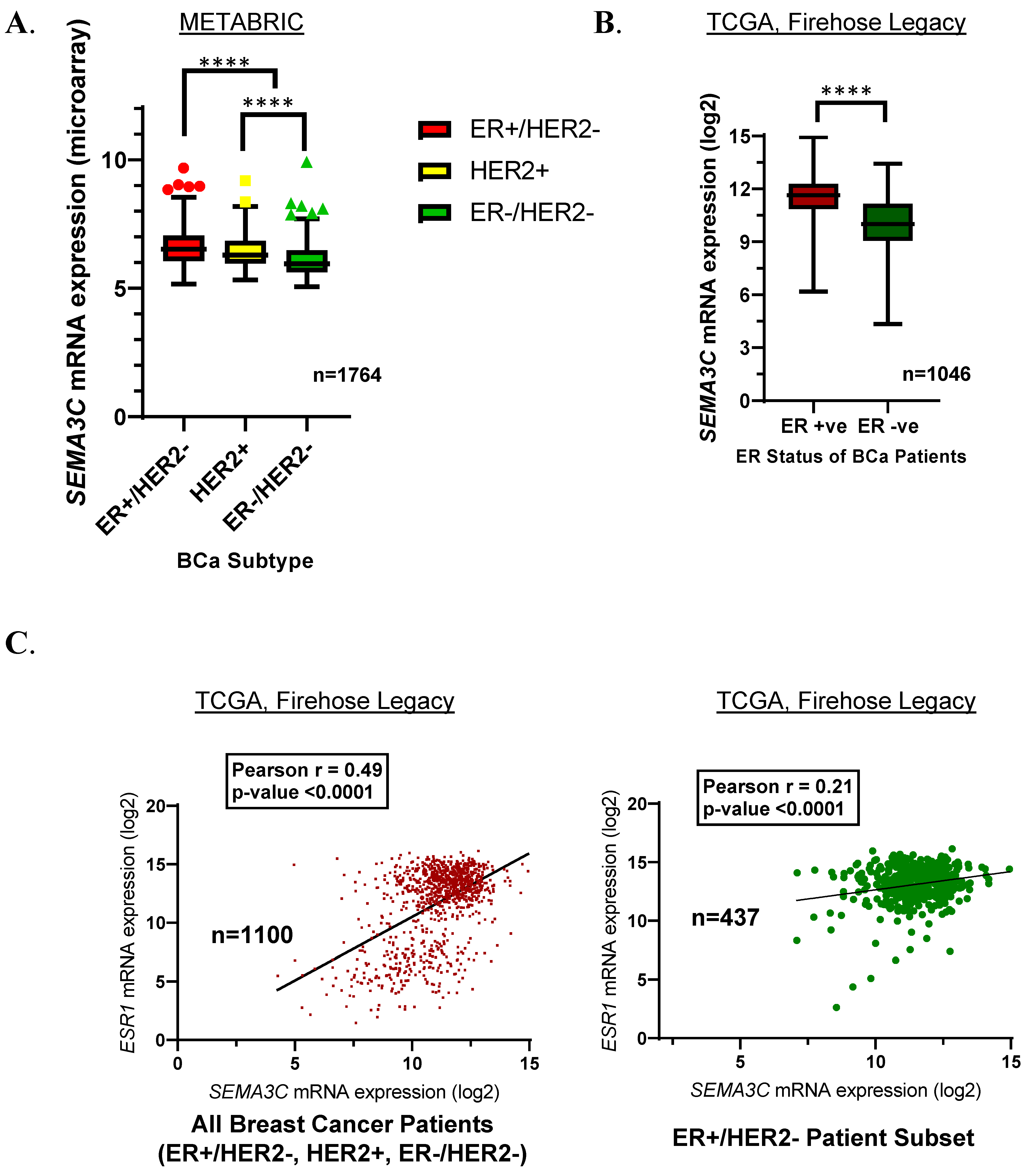 Cells 12 01715 g001 Cells 12 01715 g001