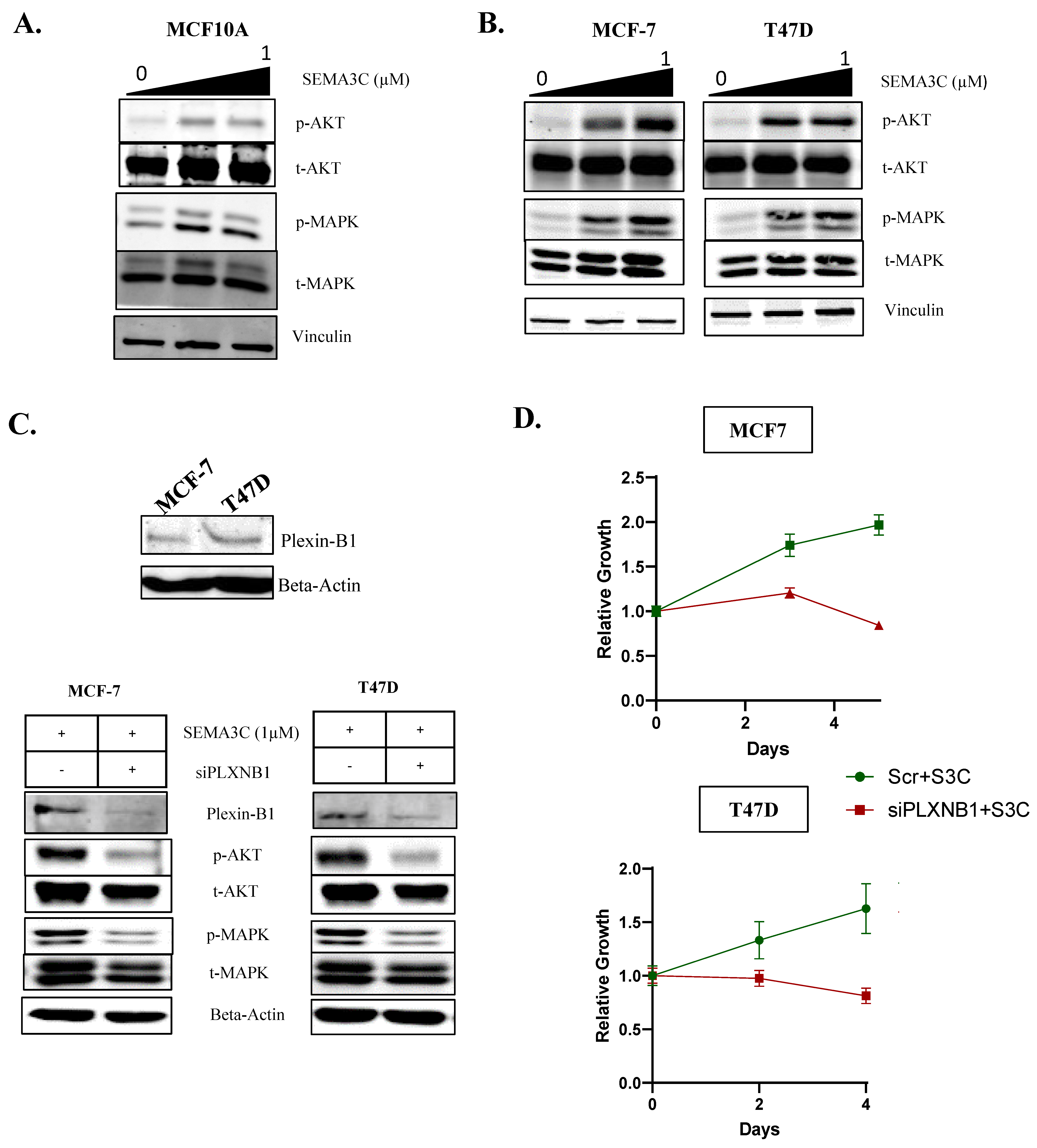 Cells 12 01715 g003 Cells 12 01715 g003