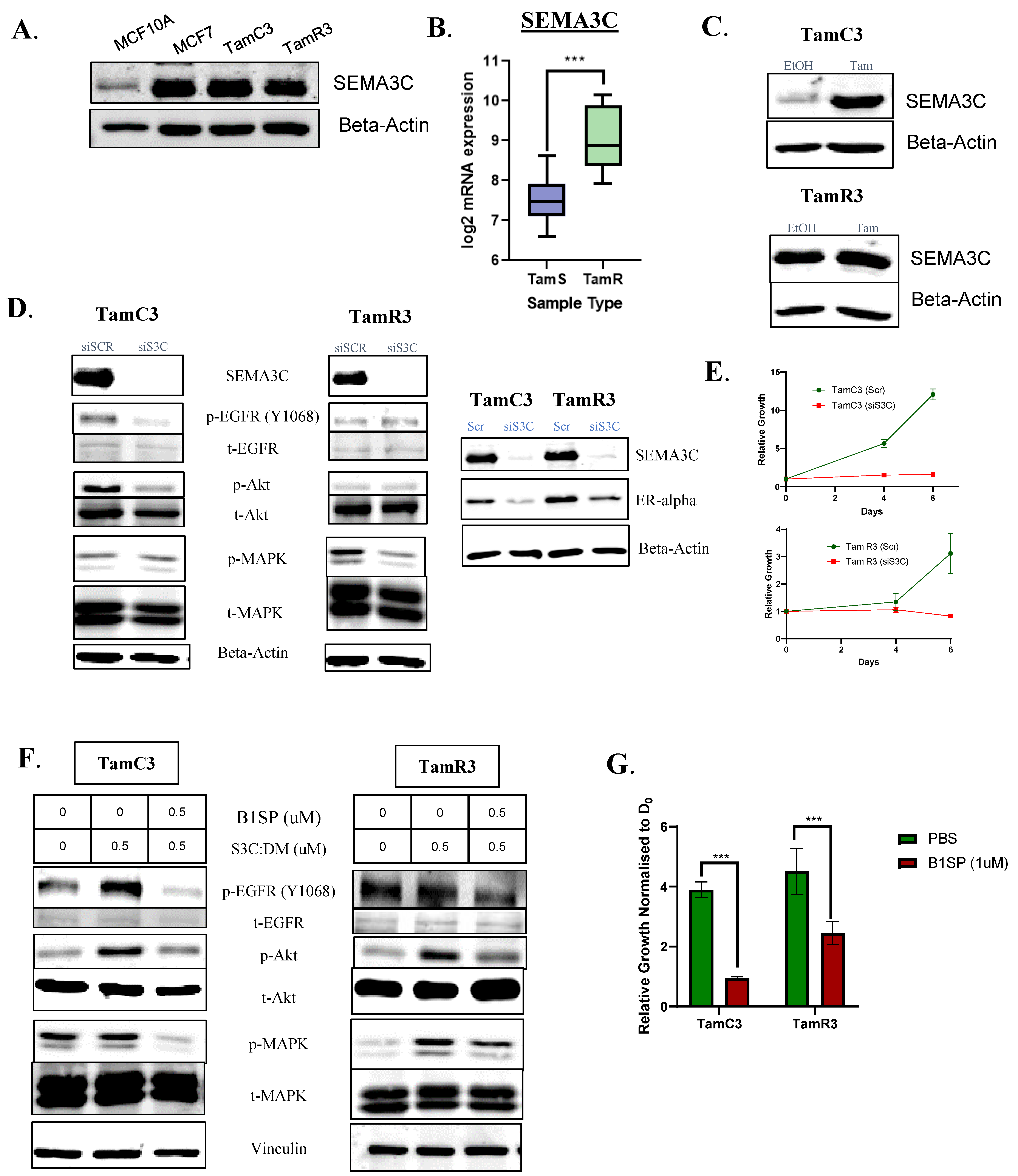 Cells 12 01715 g006 Cells 12 01715 g006