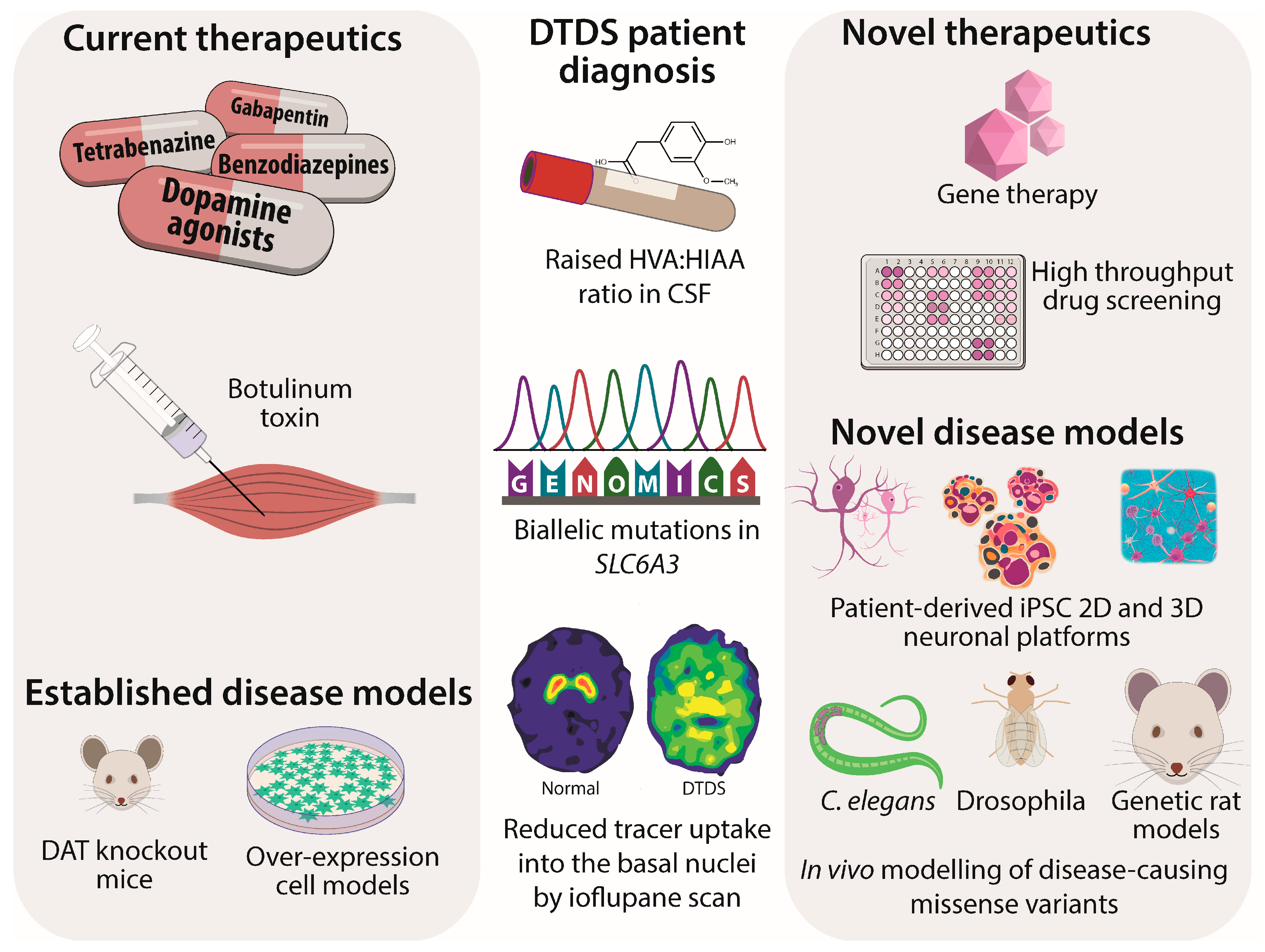 Cells 12 01737 g001 Cells 12 01737 g001