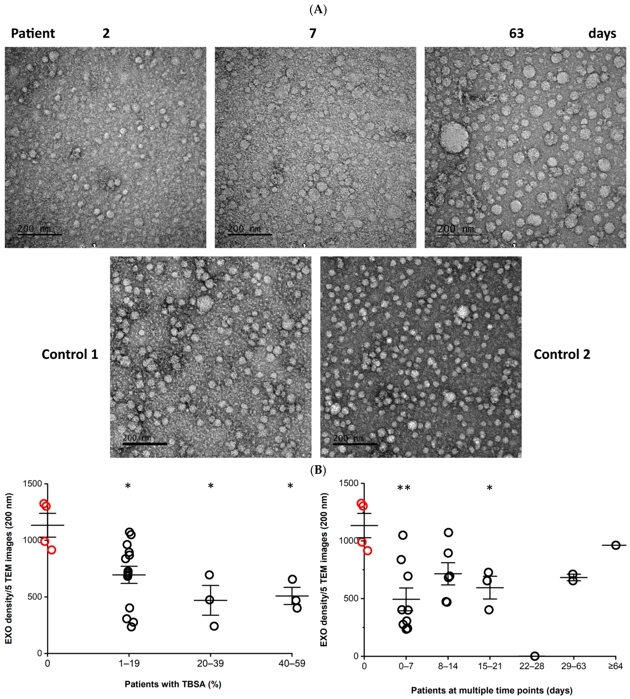 An update on inhibitors targeting RNA-dependent RNA