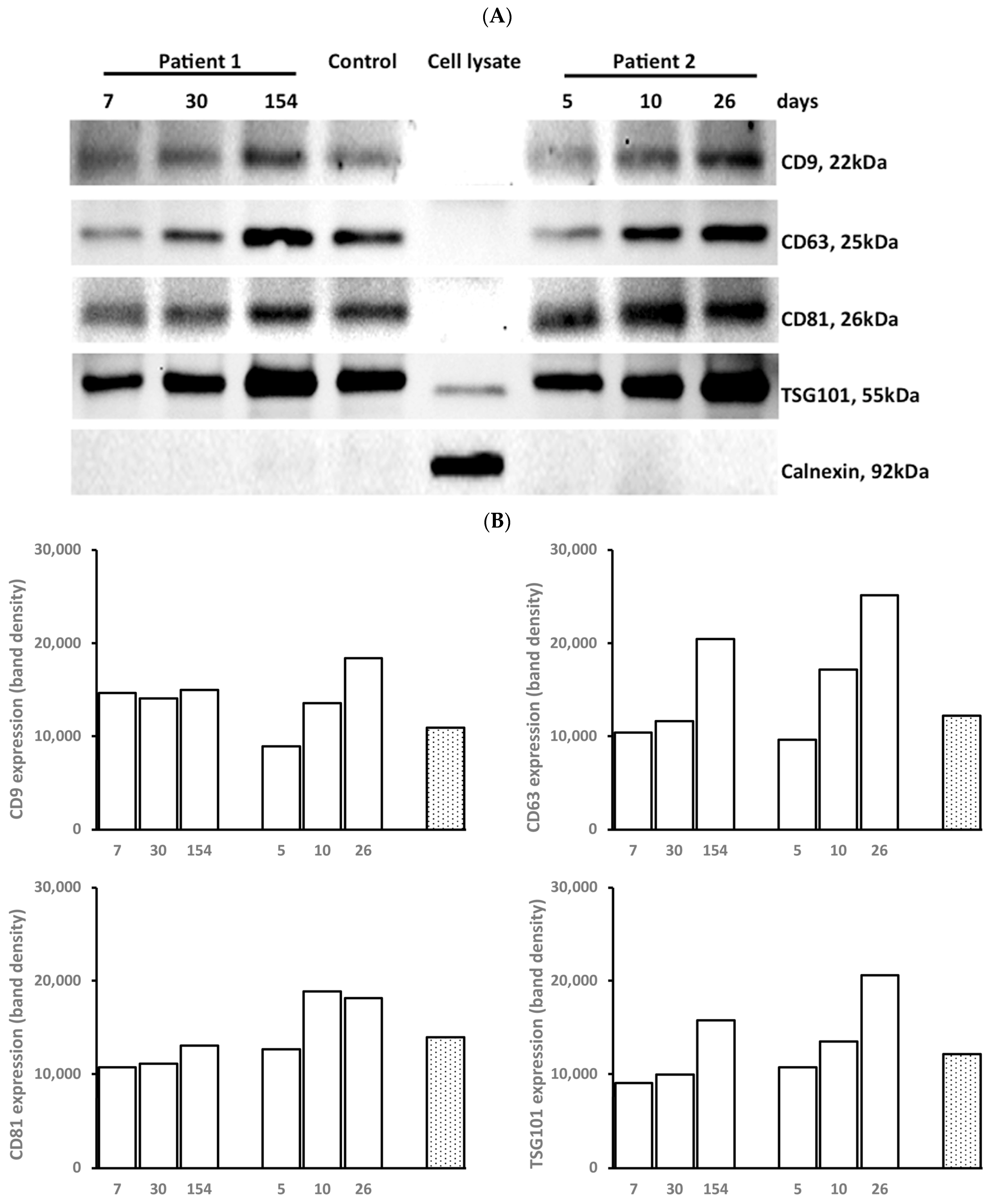 Cells 12 01738 g002 Cells 12 01738 g002