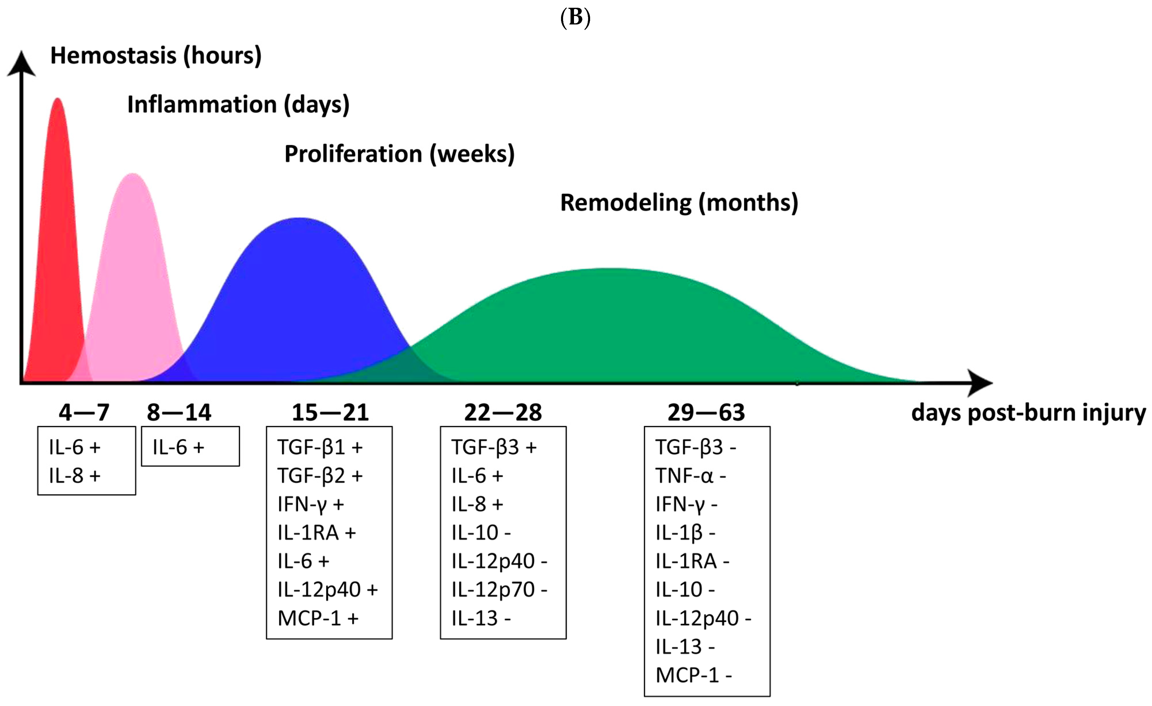 Cells 12 01738 g005b Cells 12 01738 g005b