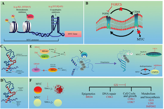 Rewired Metabolism Caused by the Oncogenic Deregulation of MYC as an ...