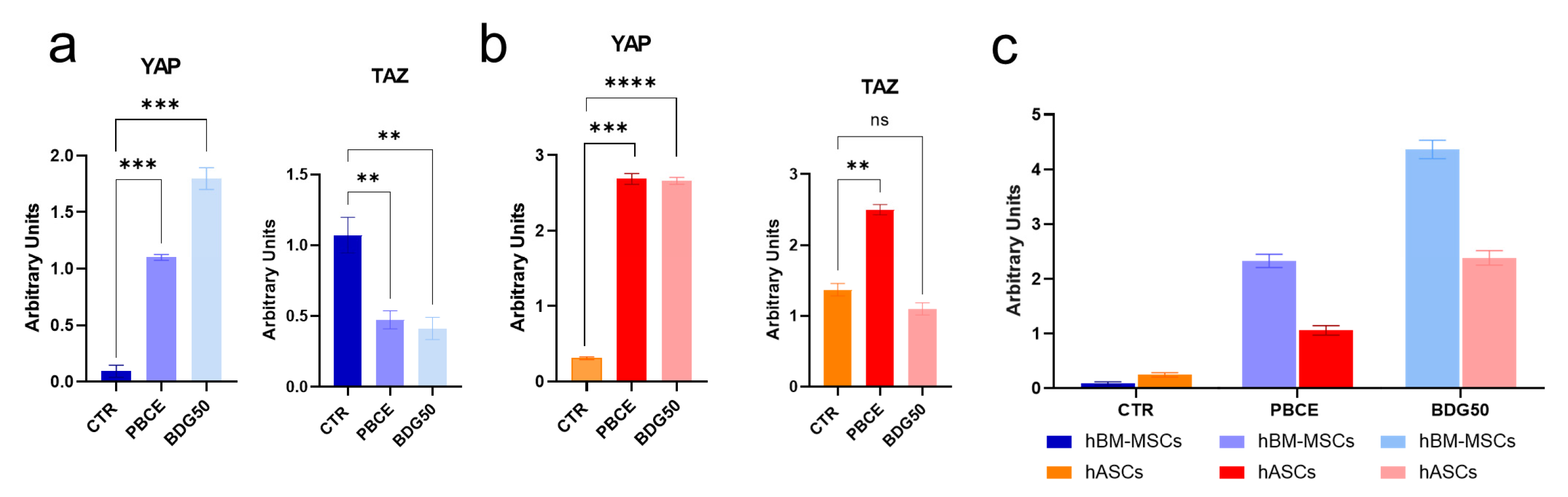 Cells 12 01746 g008 Cells 12 01746 g008